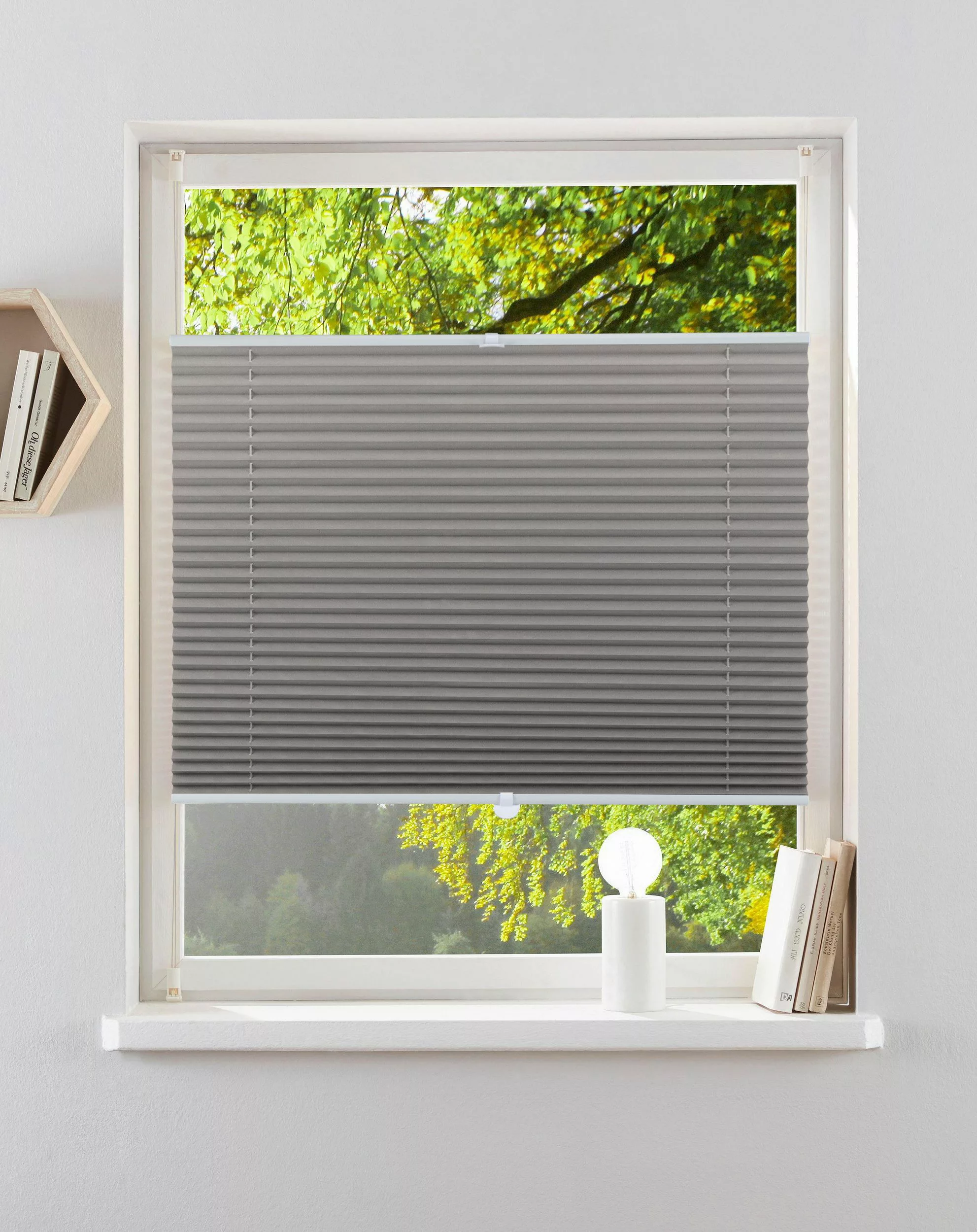 my home Plissee LAHOLM, Lichtschutz, ohne günstig online kaufen