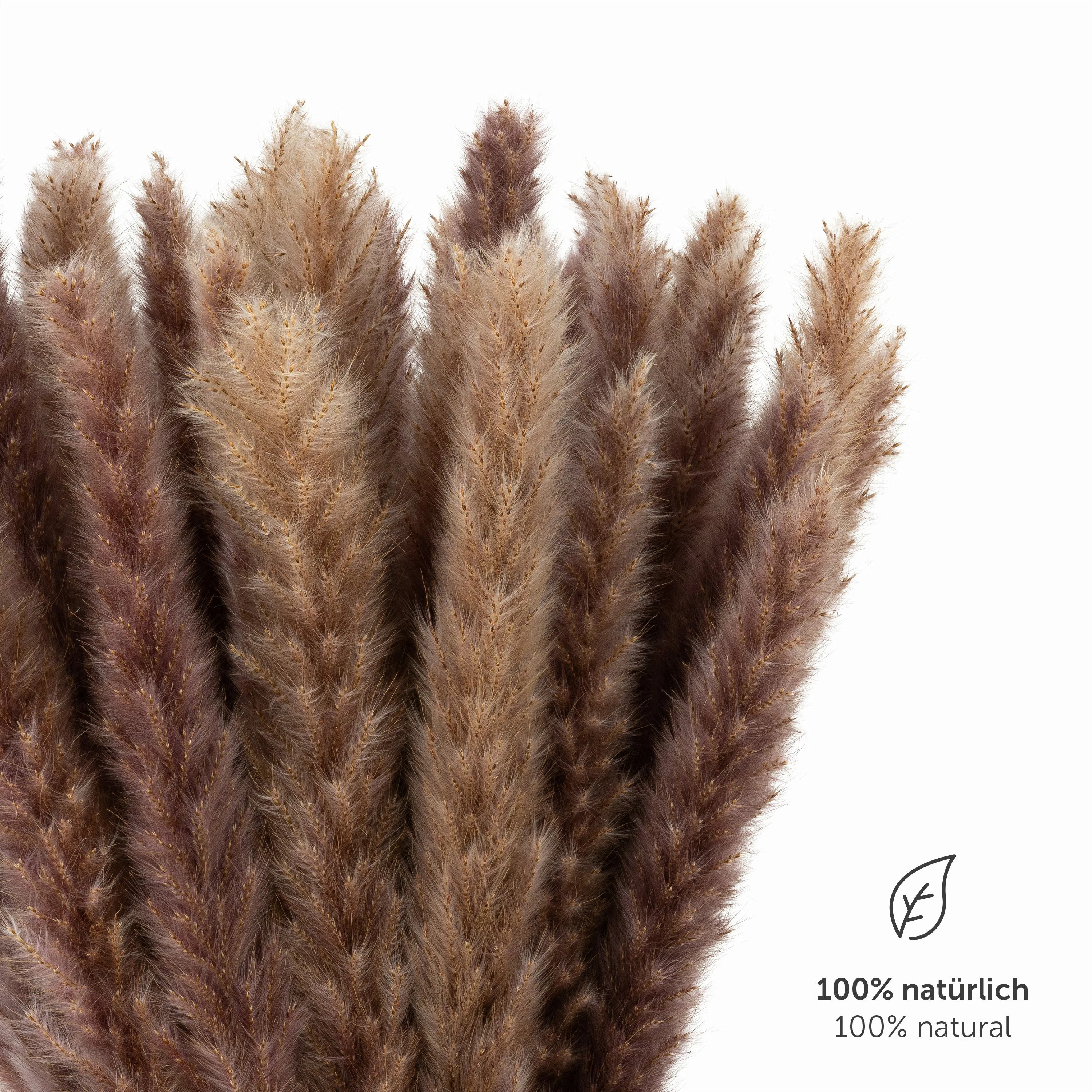 Kunstpflanze getrocknet - Trockenblumen, Ideales Dekoelement günstig online kaufen
