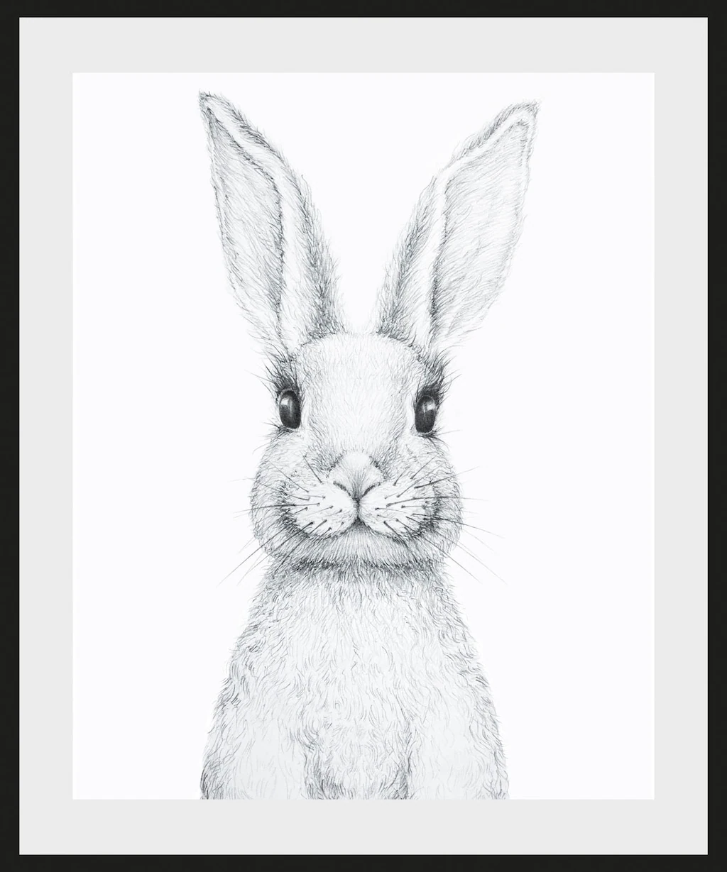 queence Bild "Aleksi", Hase-Hasen-Schwarz-Weiß-Kunst-Haustiere, (1 St.), HD günstig online kaufen