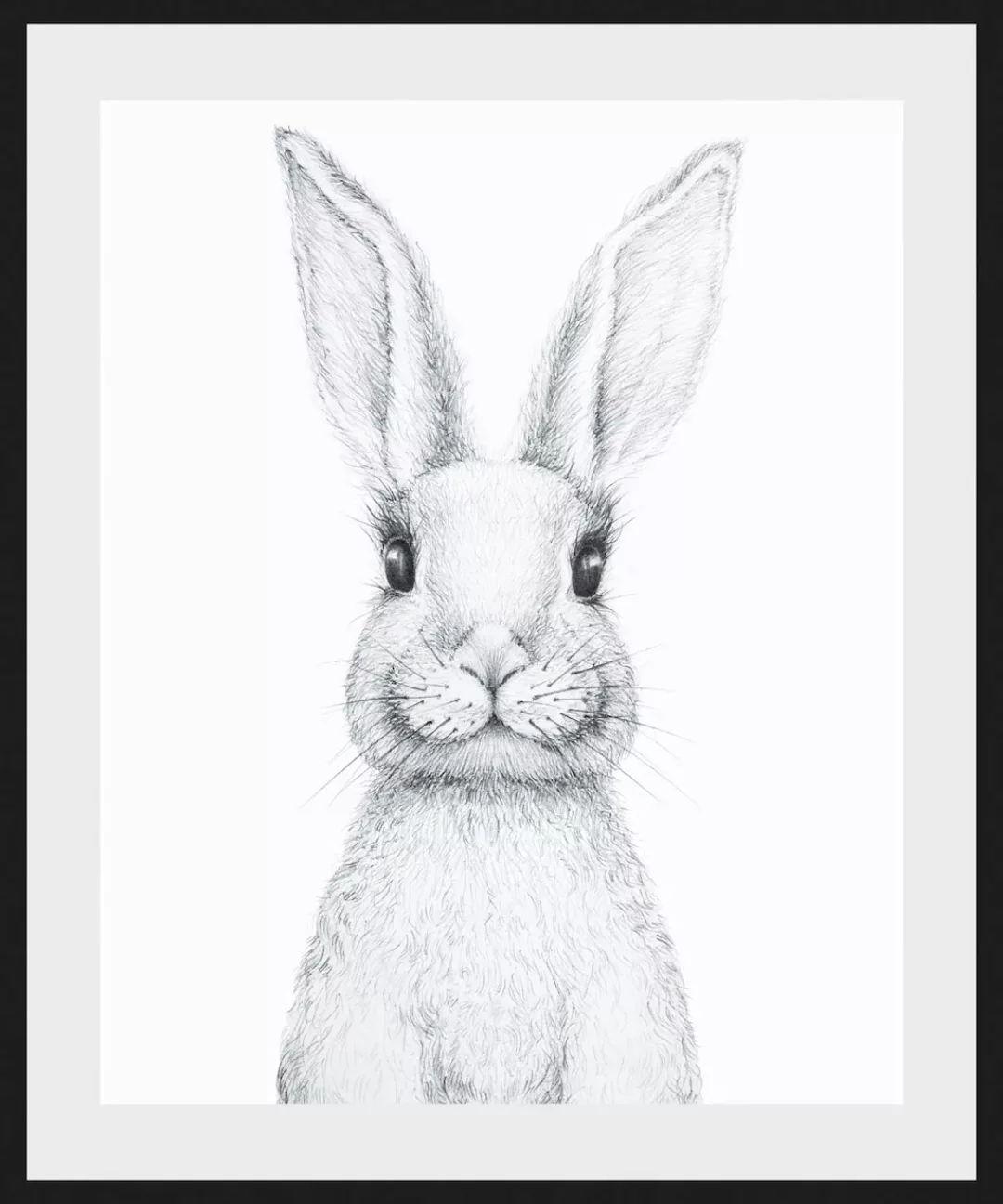 queence Bild "Aleksi", Hase-Hasen-Schwarz-Weiß-Kunst-Haustiere, (1 St.), HD günstig online kaufen