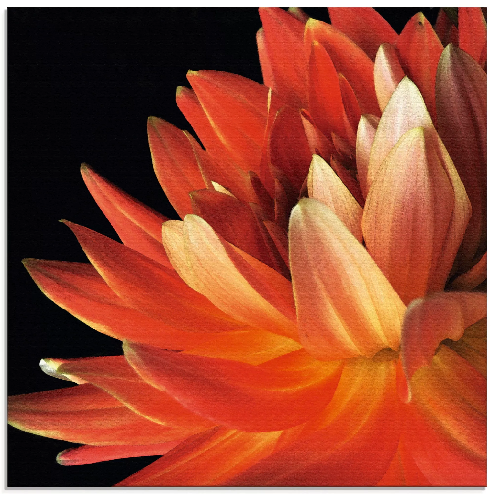 Artland Glasbild "Rote Dahlie", Blumen, (1 St.) günstig online kaufen