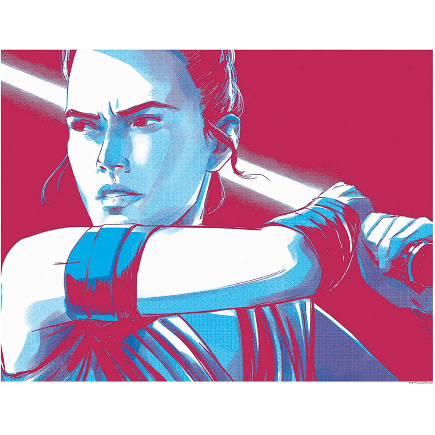 Komar Wandbild Star Wars Rey 50 x 40 cm günstig online kaufen