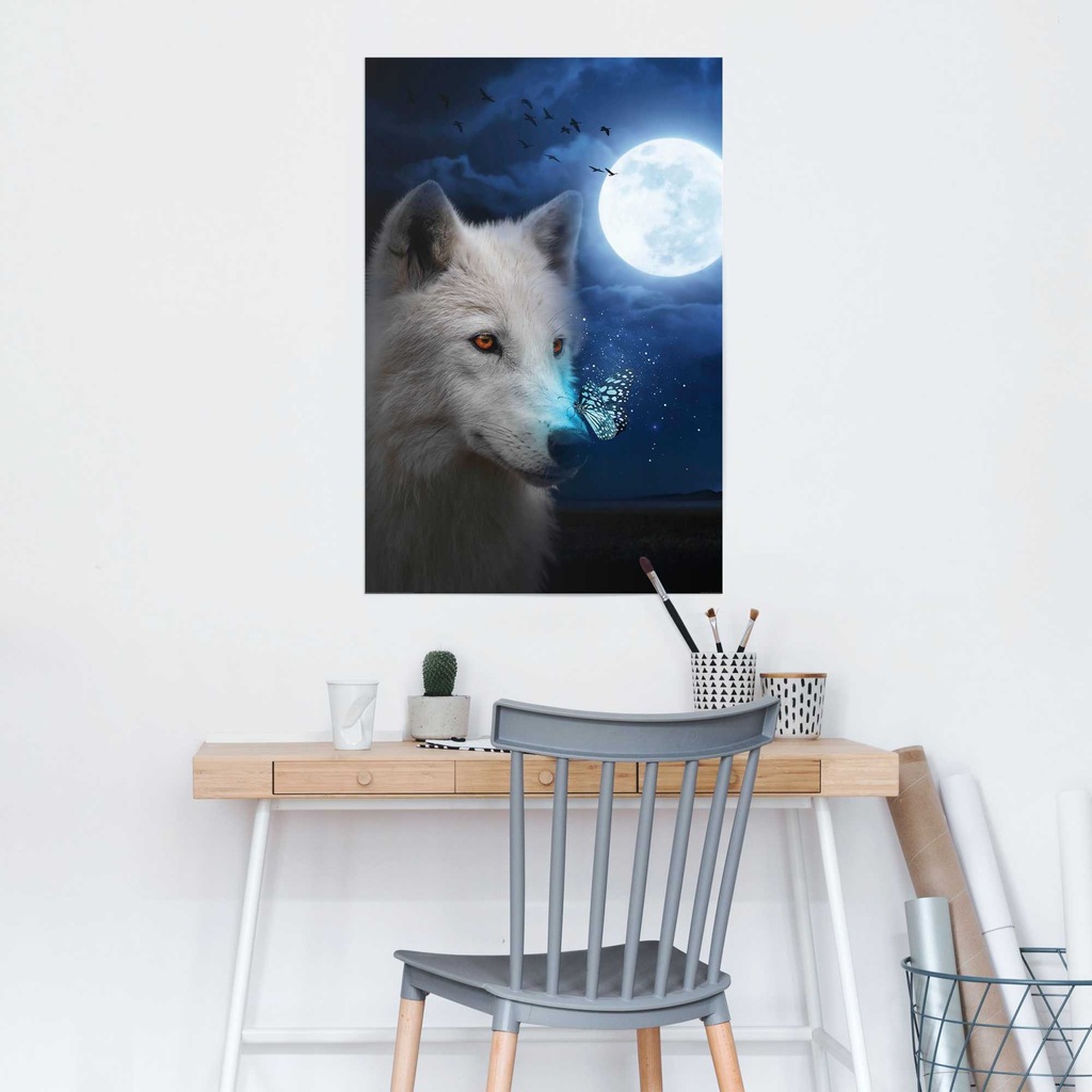 Reinders! Poster »Weißer Wolf« günstig online kaufen