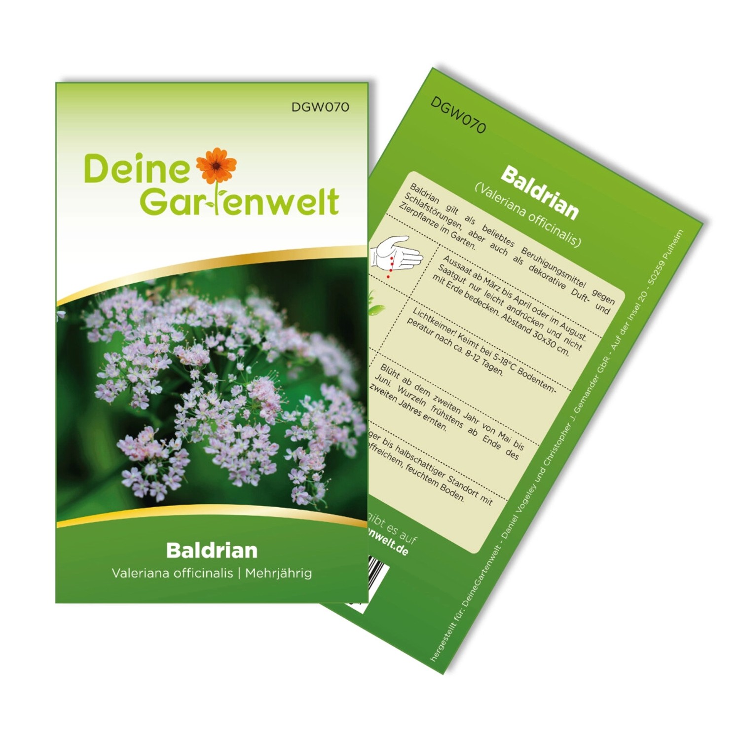 Deine Gartenwelt Baldrian Samen günstig online kaufen