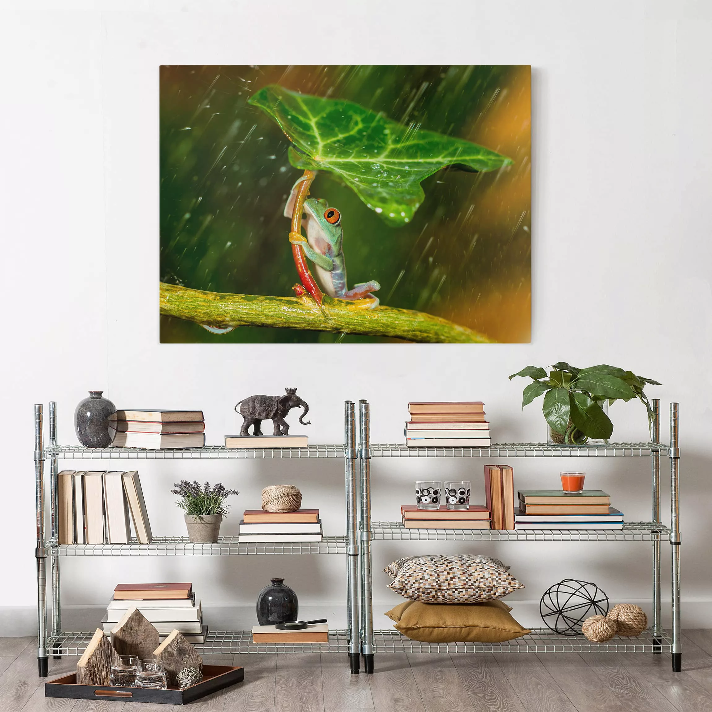 Leinwandbild Tiere - Querformat Ein Frosch im Regen günstig online kaufen