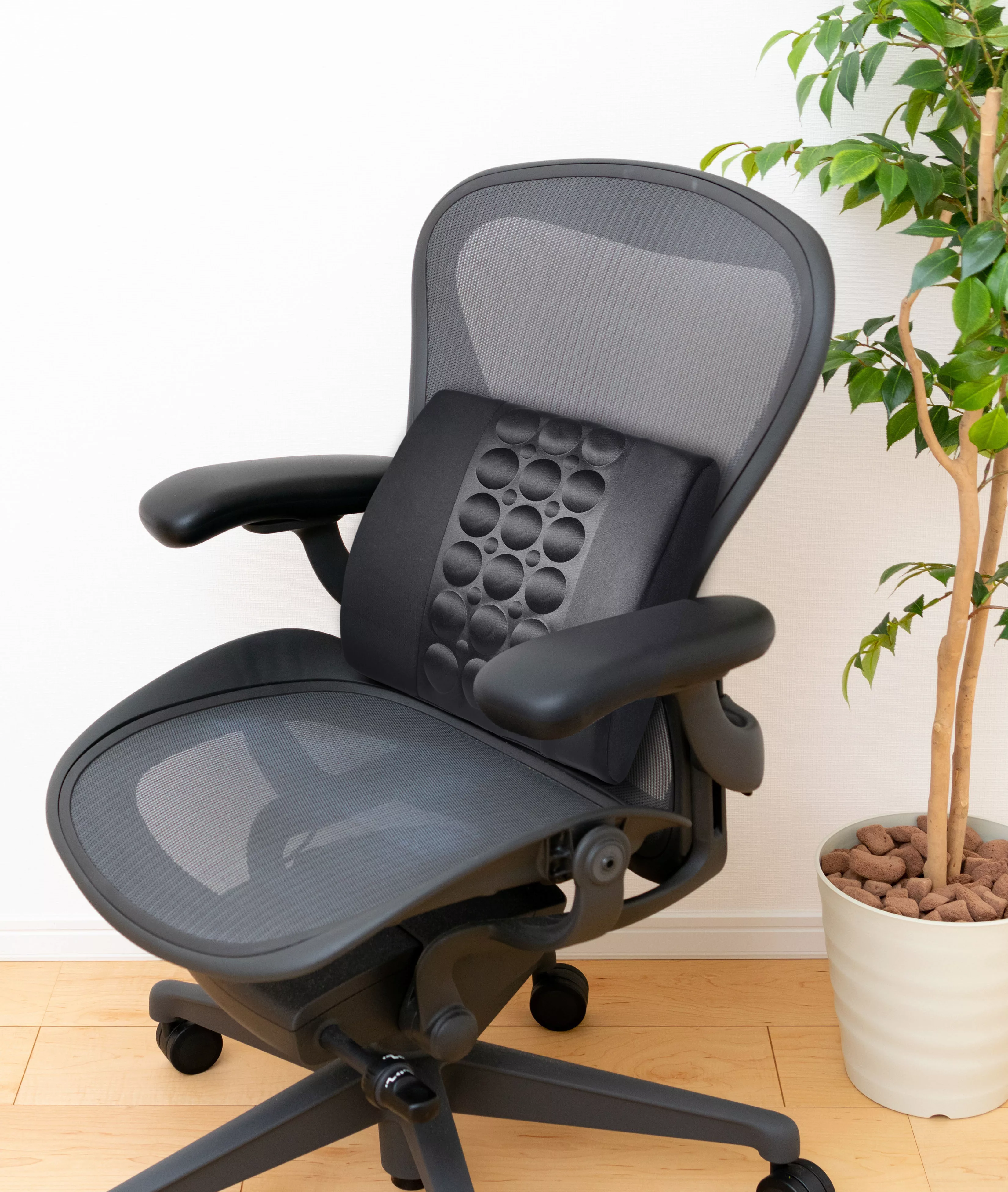 Technaxx Stuhlkissen »Lifenaxx ergonomisches Rückenkissen LX-022« günstig online kaufen
