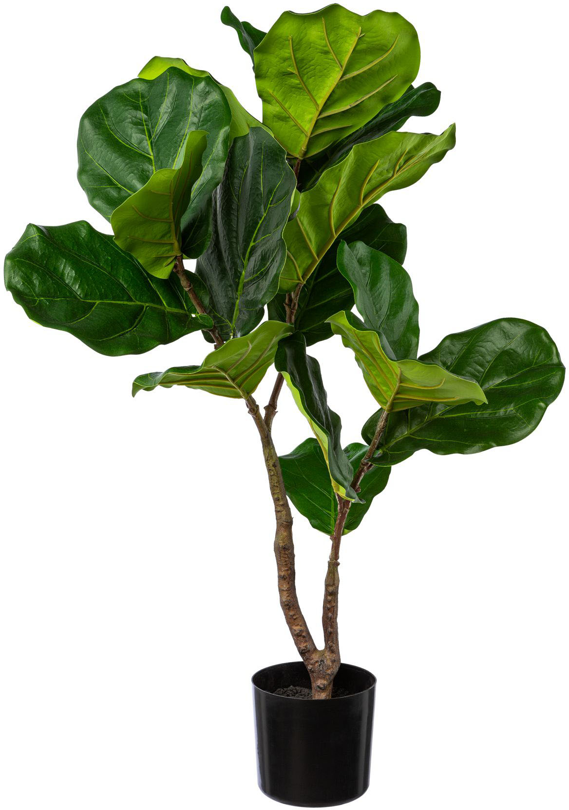 Creativ green Kunstbaum "Ficus Lyrata" günstig online kaufen