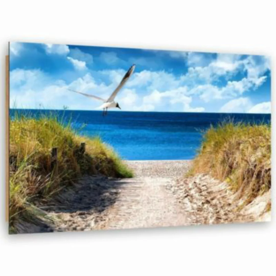 FEEBY® Kunst Vogel über dem Strand Leinwandbilder bunt Gr. 60 x 40 günstig online kaufen