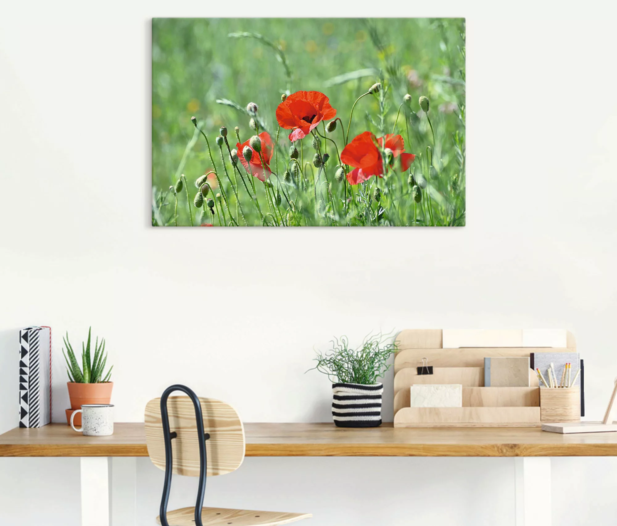 Artland Wandbild »Mohnblumen im Gras«, Blumenbilder, (1 St.), als Leinwandb günstig online kaufen