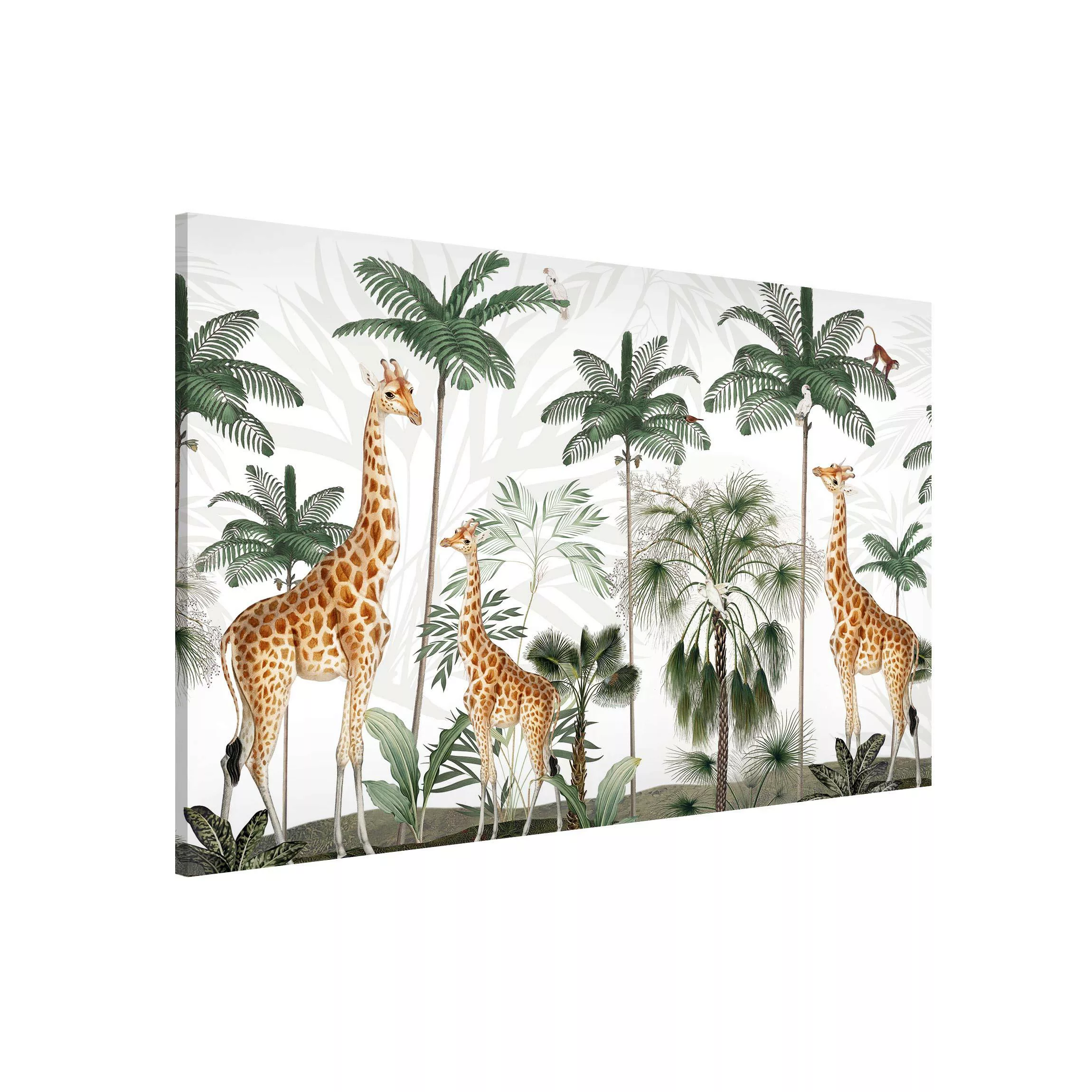 Magnettafel Eleganz der Giraffen im Dschungel günstig online kaufen