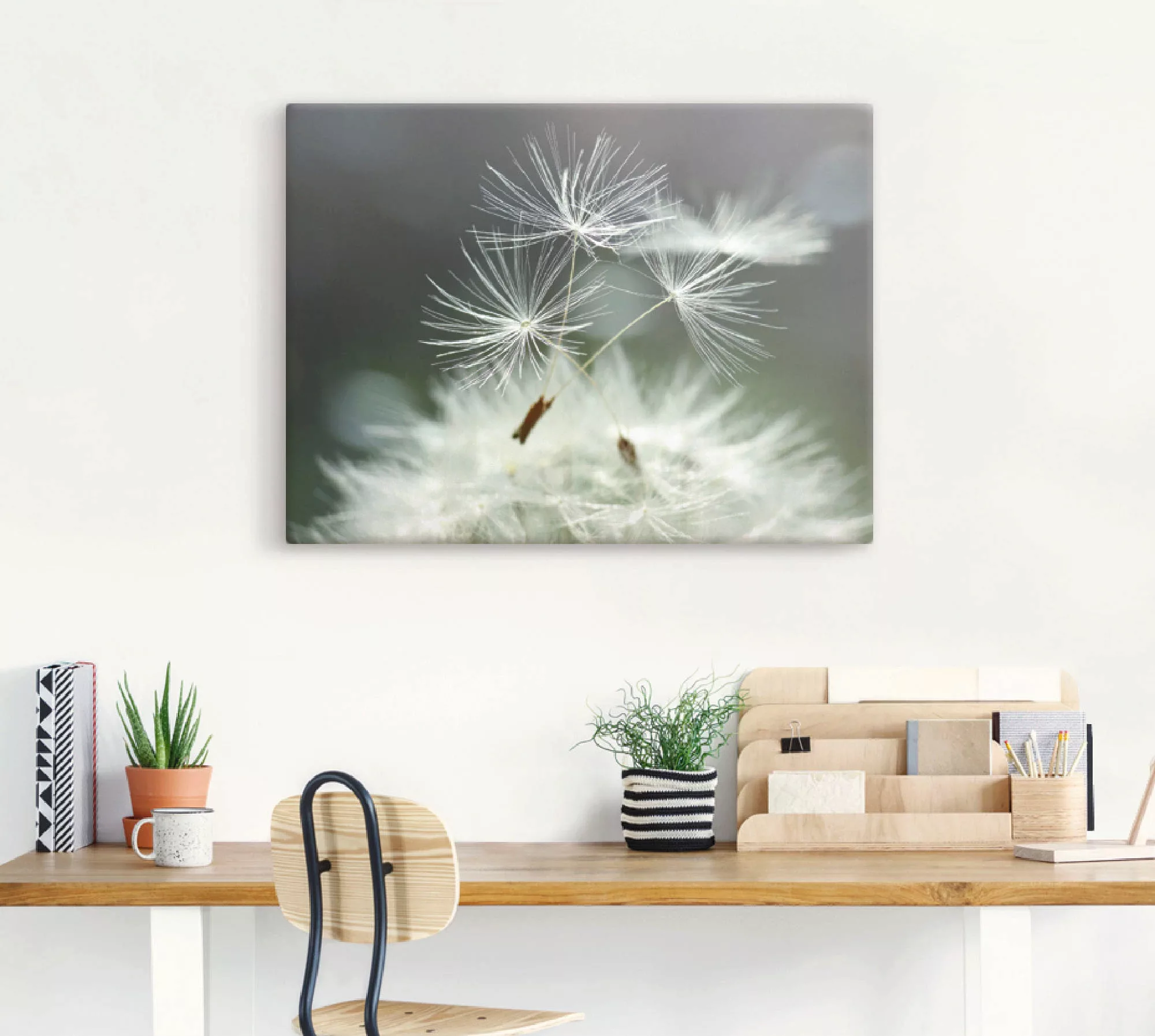 Artland Wandbild "Pusteblume Facility", Blumen, (1 St.), als Alubild, Outdo günstig online kaufen