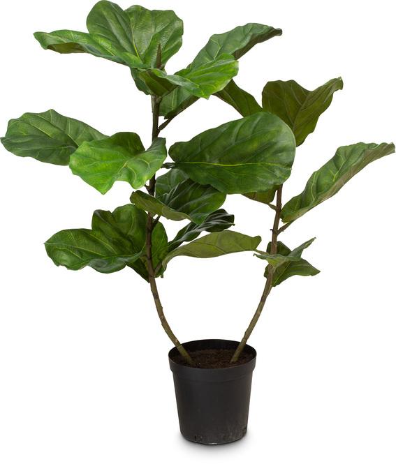 Künstlicher Geigenfeigenbaum - Ficus Lyrata 107 cm günstig online kaufen