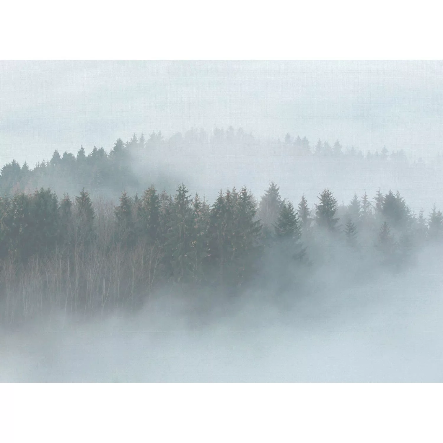 Fototapete Landschaft Wald Grün Grau Braun 3,50 m x 2,55 m FSC® günstig online kaufen