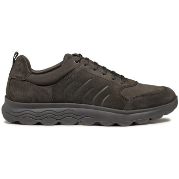 Geox  Sneaker U Spherica sneaker in camoscio günstig online kaufen