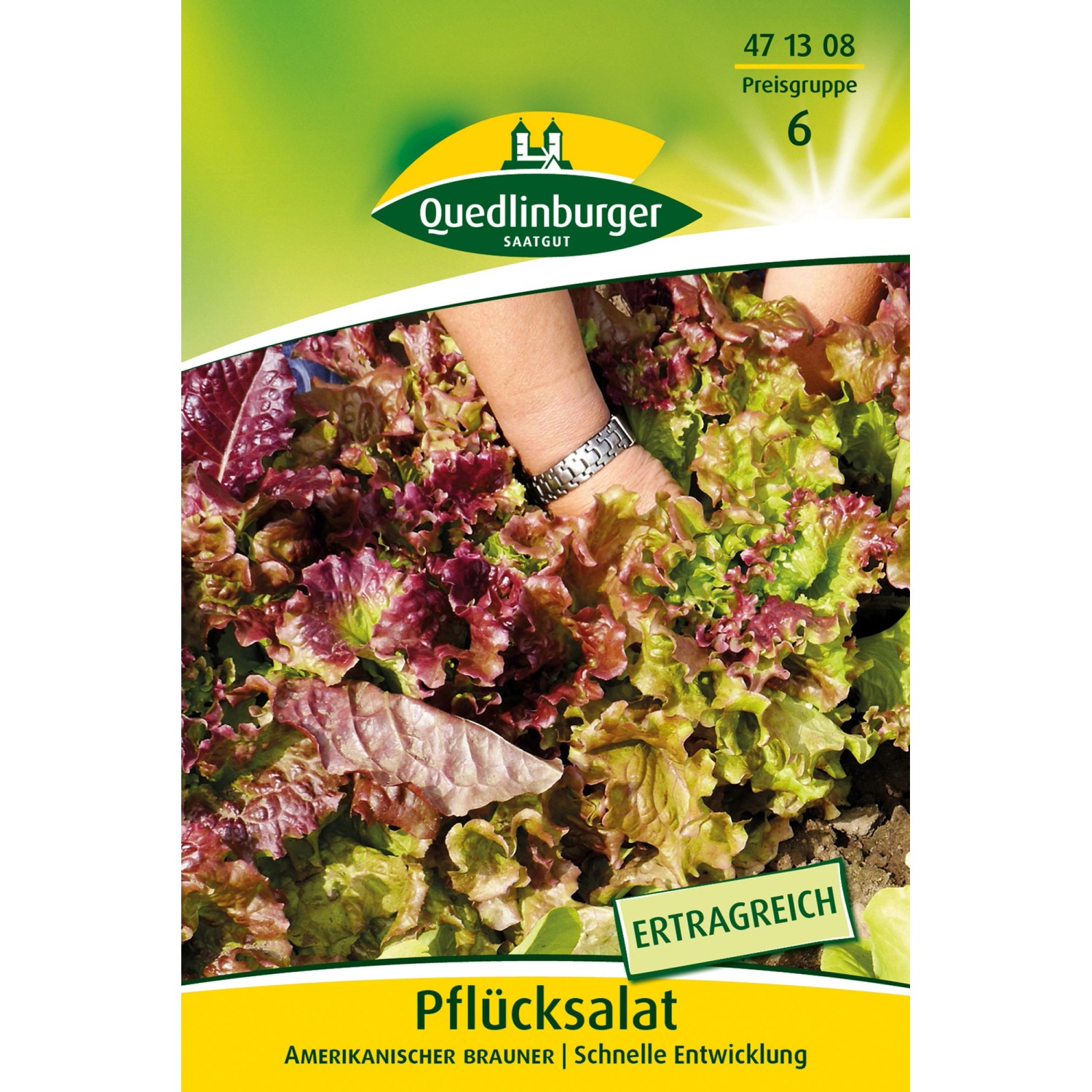 Quedlinburger Pflück Salat ''Amerikanischer brauner'' Großpackung günstig online kaufen