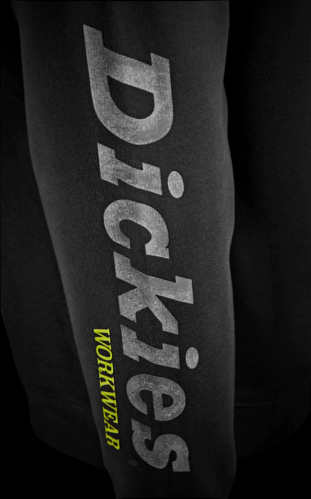 Dickies Rundhalspullover Okemo Graphic Sweatshirt (BCI) günstig online kaufen