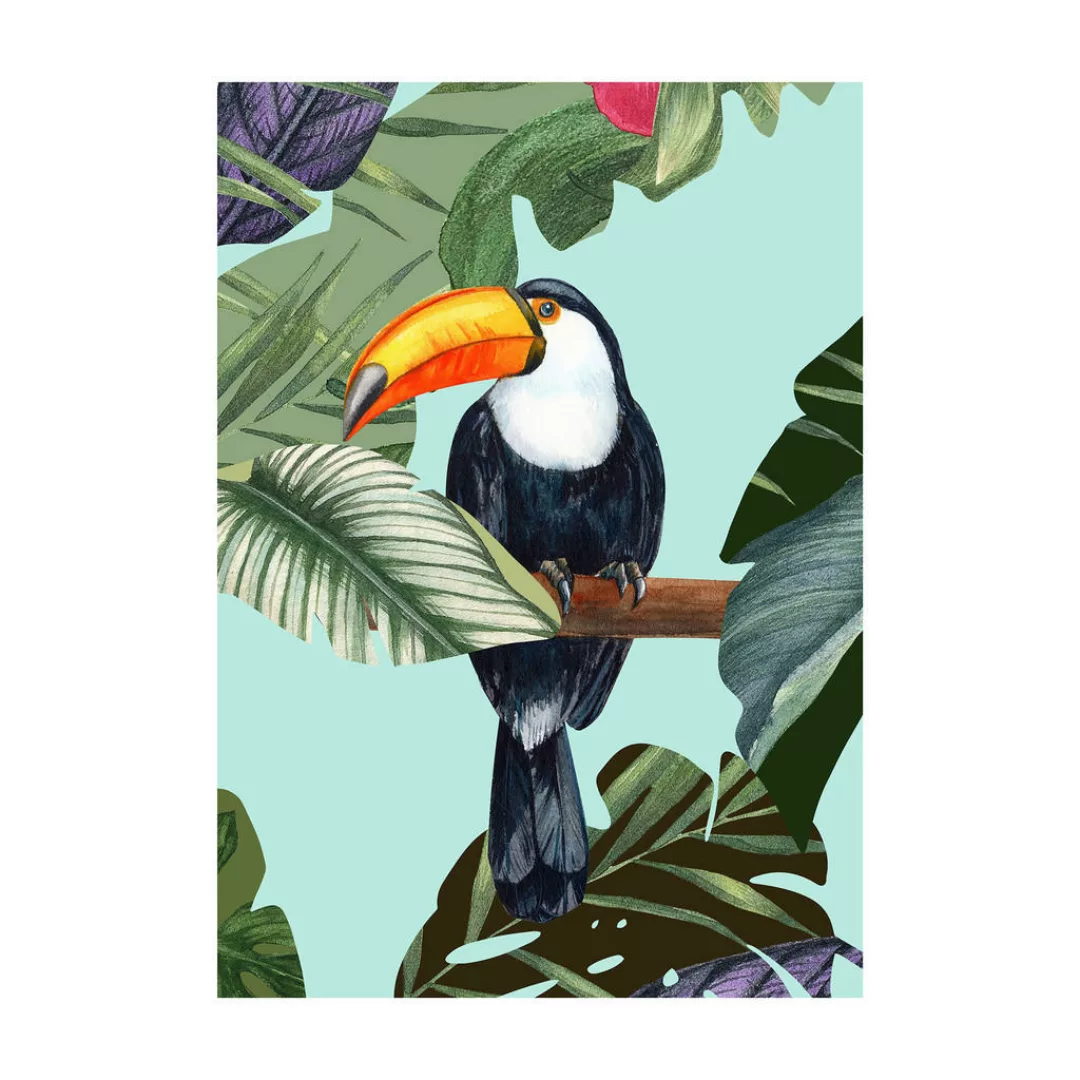 Komar Wandbild Toco Toucan günstig online kaufen