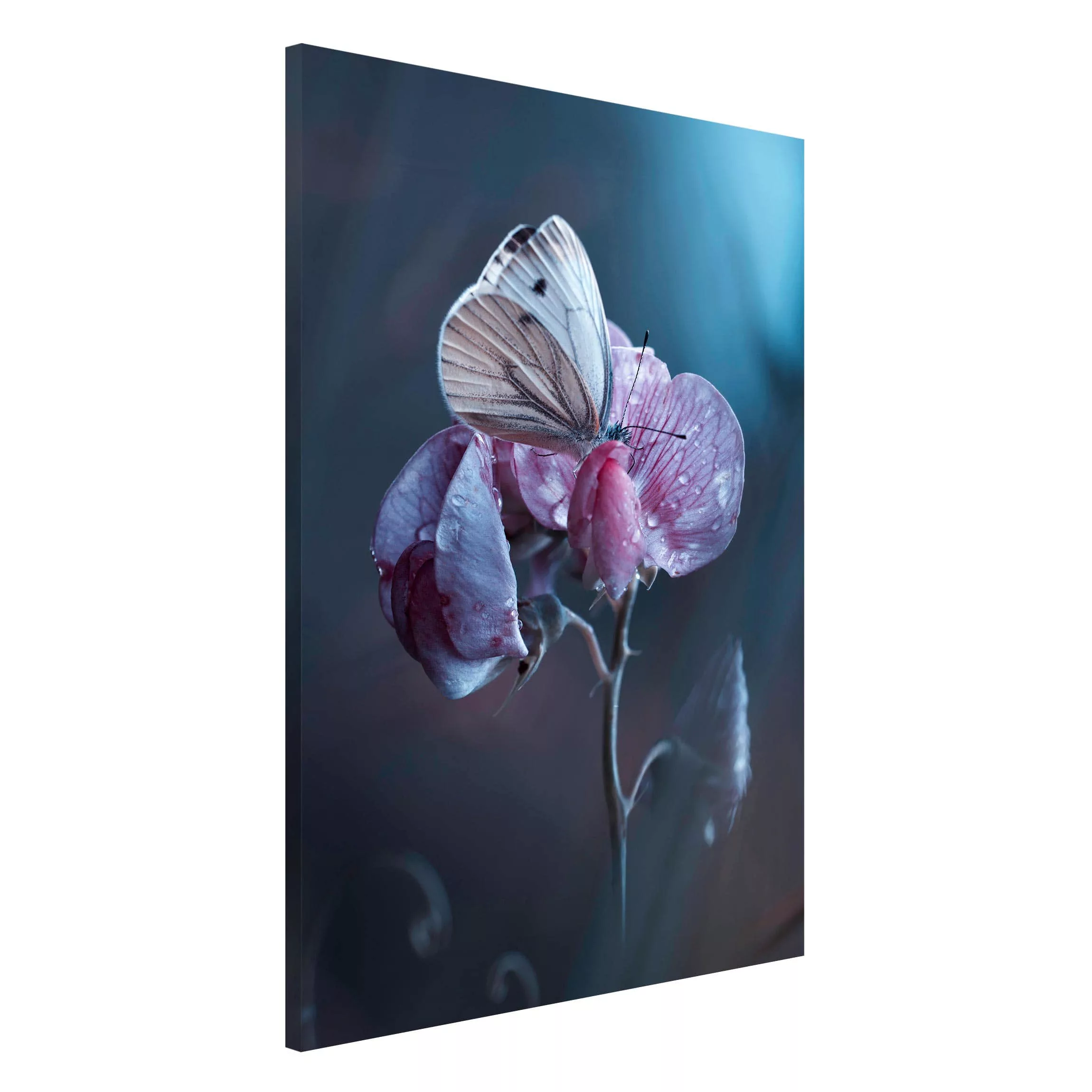 Magnettafel Blumen - Hochformat 2:3 Schmetterling im Regen günstig online kaufen