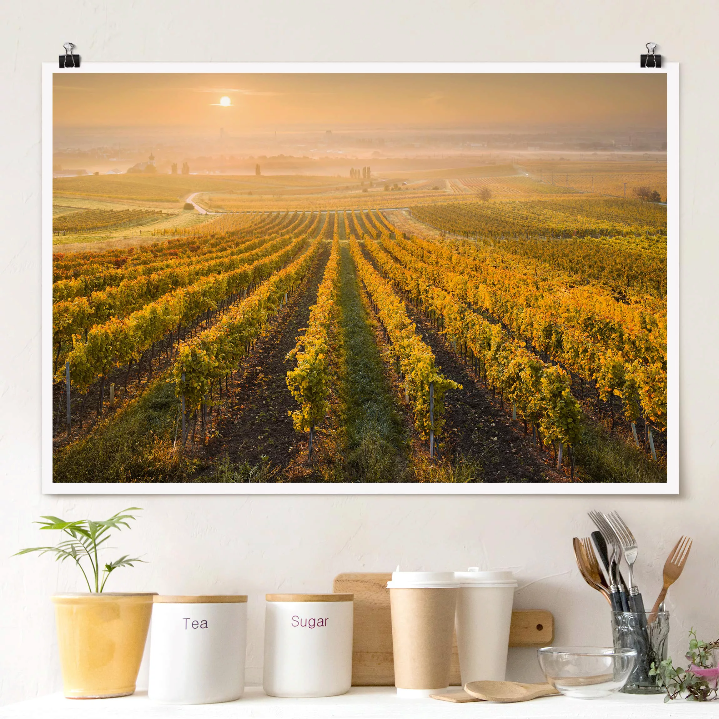 Poster Natur & Landschaft - Querformat Herbstliche Weinberge bei Wien günstig online kaufen