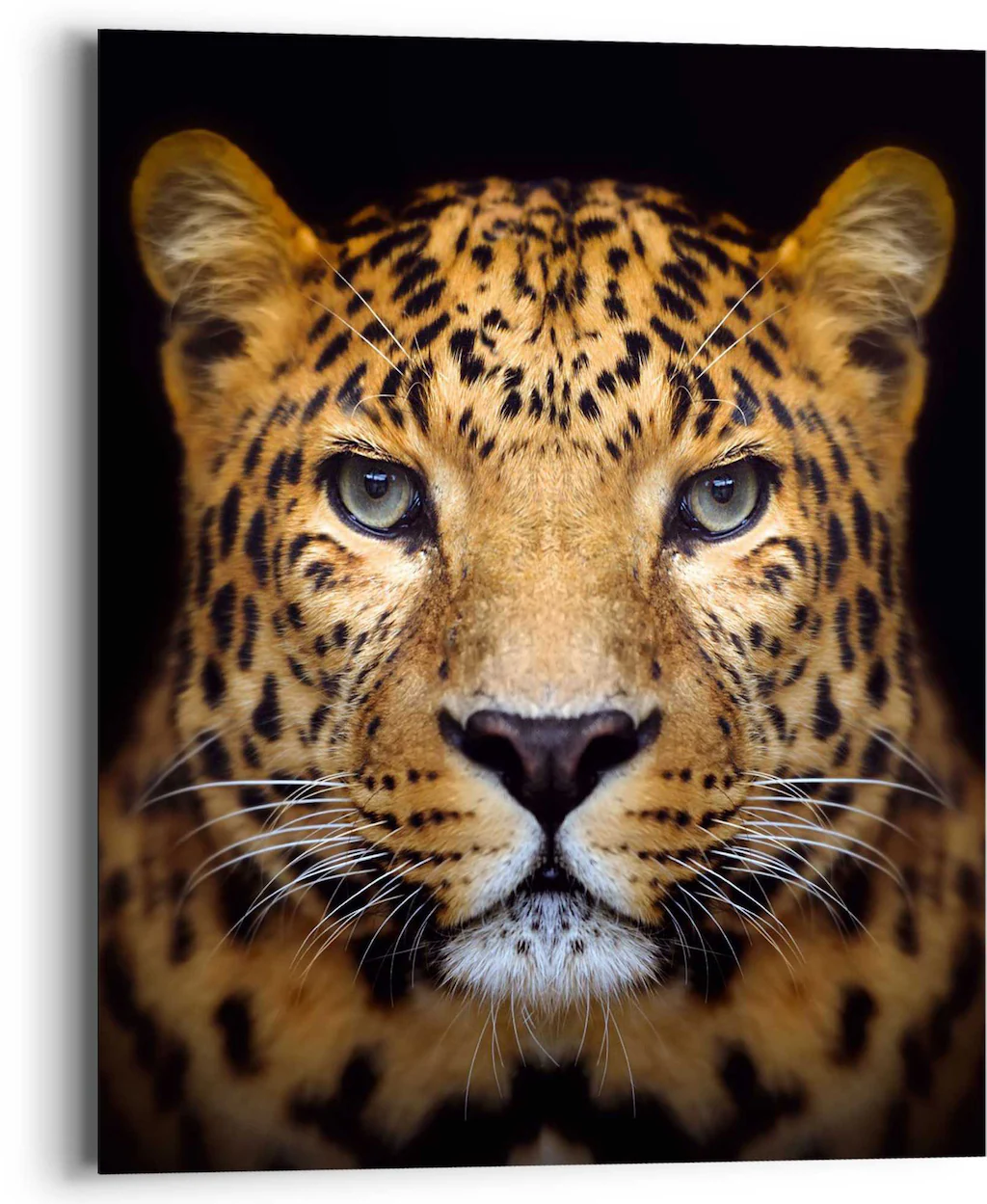 Reinders! Wandbild »Wandbild Leopard Kräftig - Panther - Raubetier - Geflec günstig online kaufen