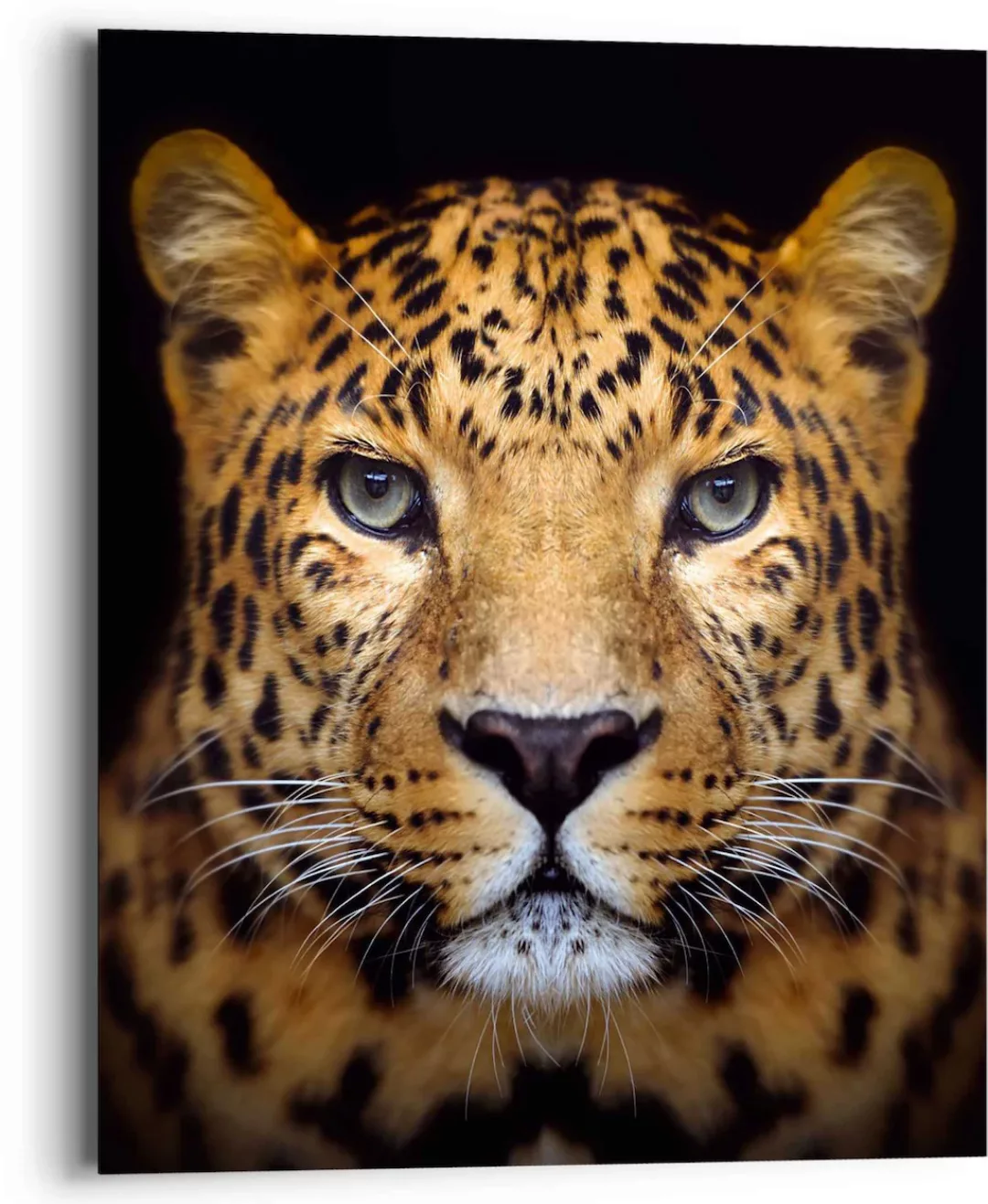 Reinders Wandbild "Wandbild Leopard Kräftig - Panther - Raubetier - Gefleck günstig online kaufen