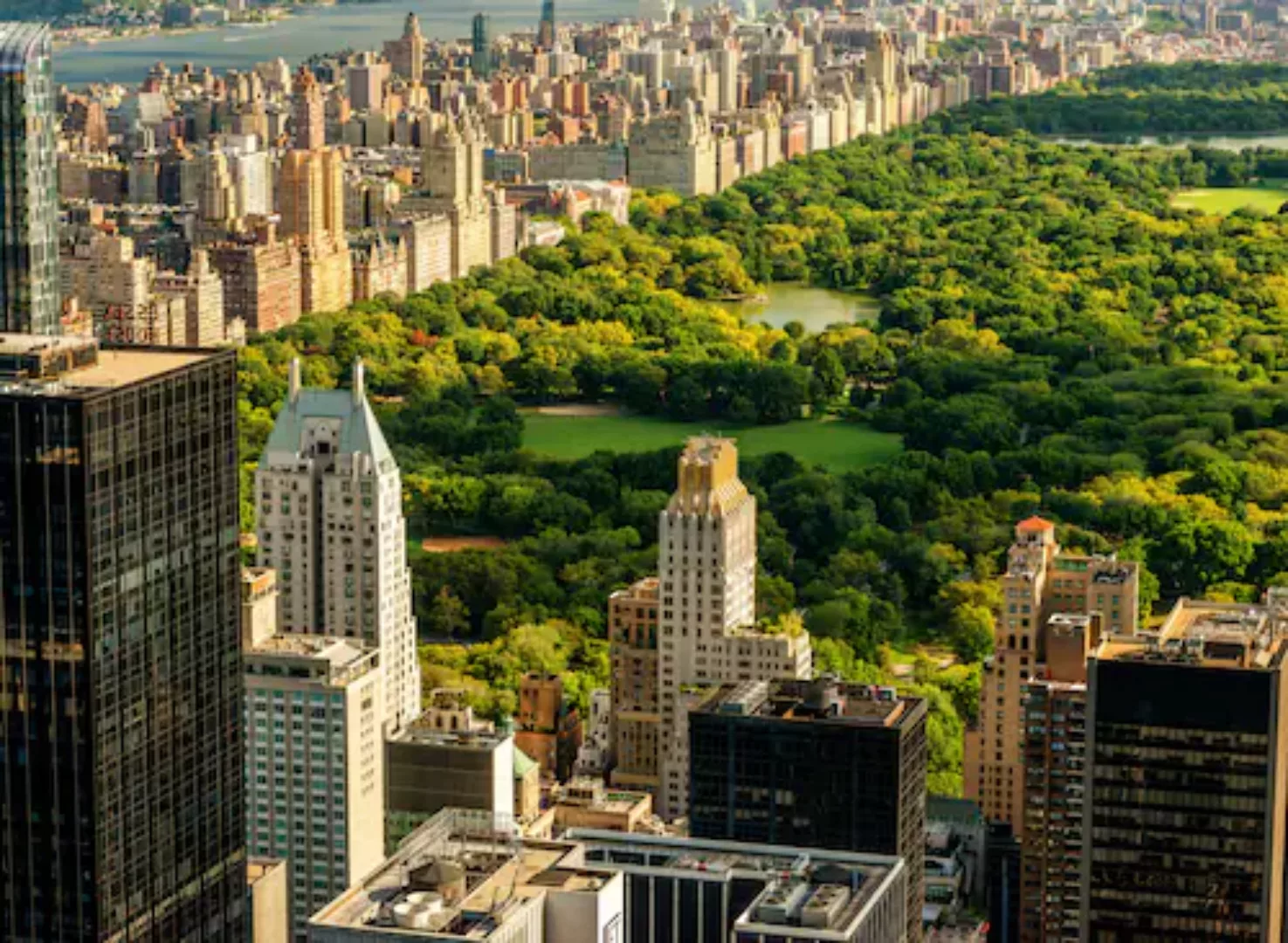 Papermoon Fototapete »Central Park Manhattan« günstig online kaufen