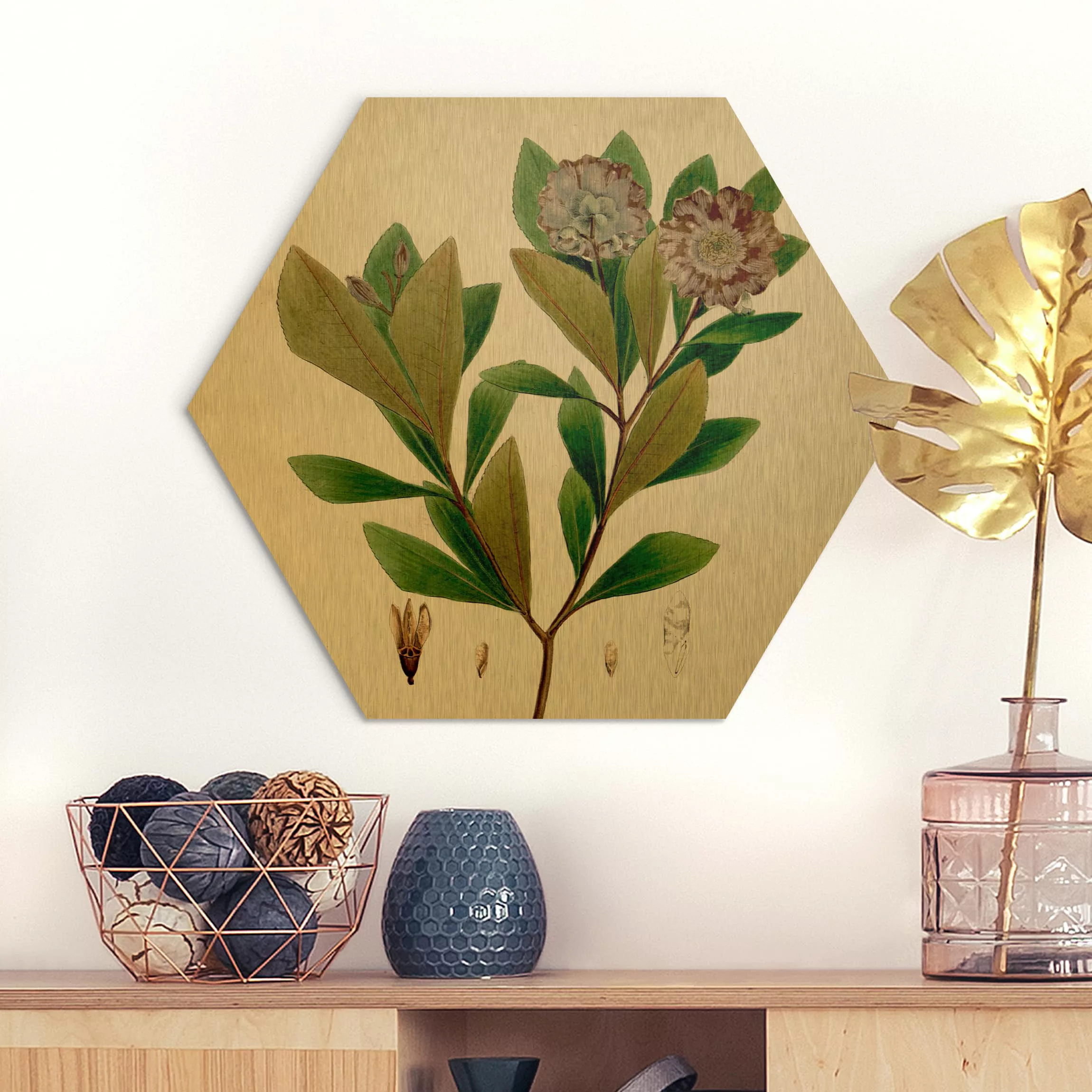 Hexagon-Alu-Dibond Bild Blumen Laubbaum Schautafel V günstig online kaufen