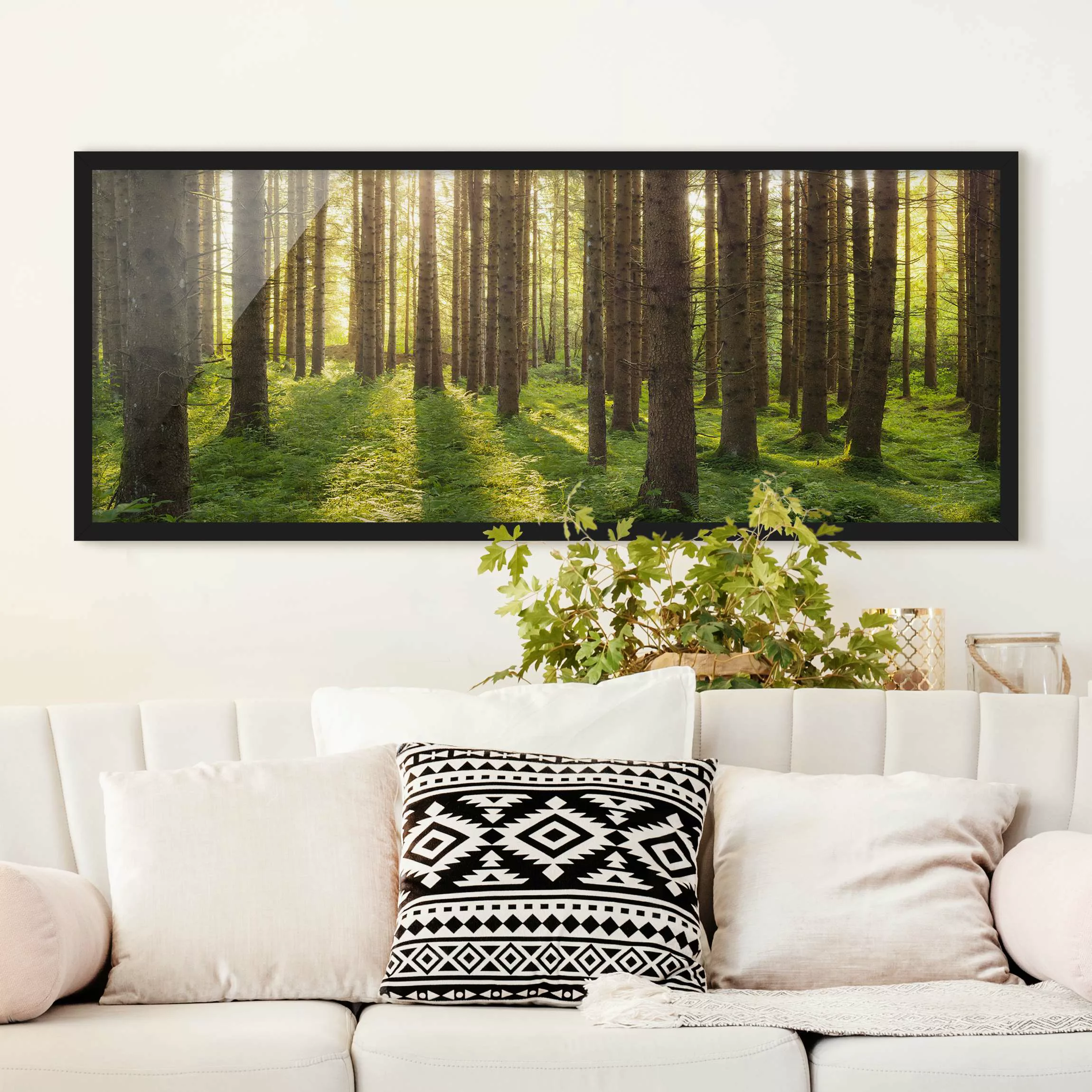 Bild mit Rahmen Natur & Landschaft - Panorama Sonnenstrahlen in grünem Wald günstig online kaufen