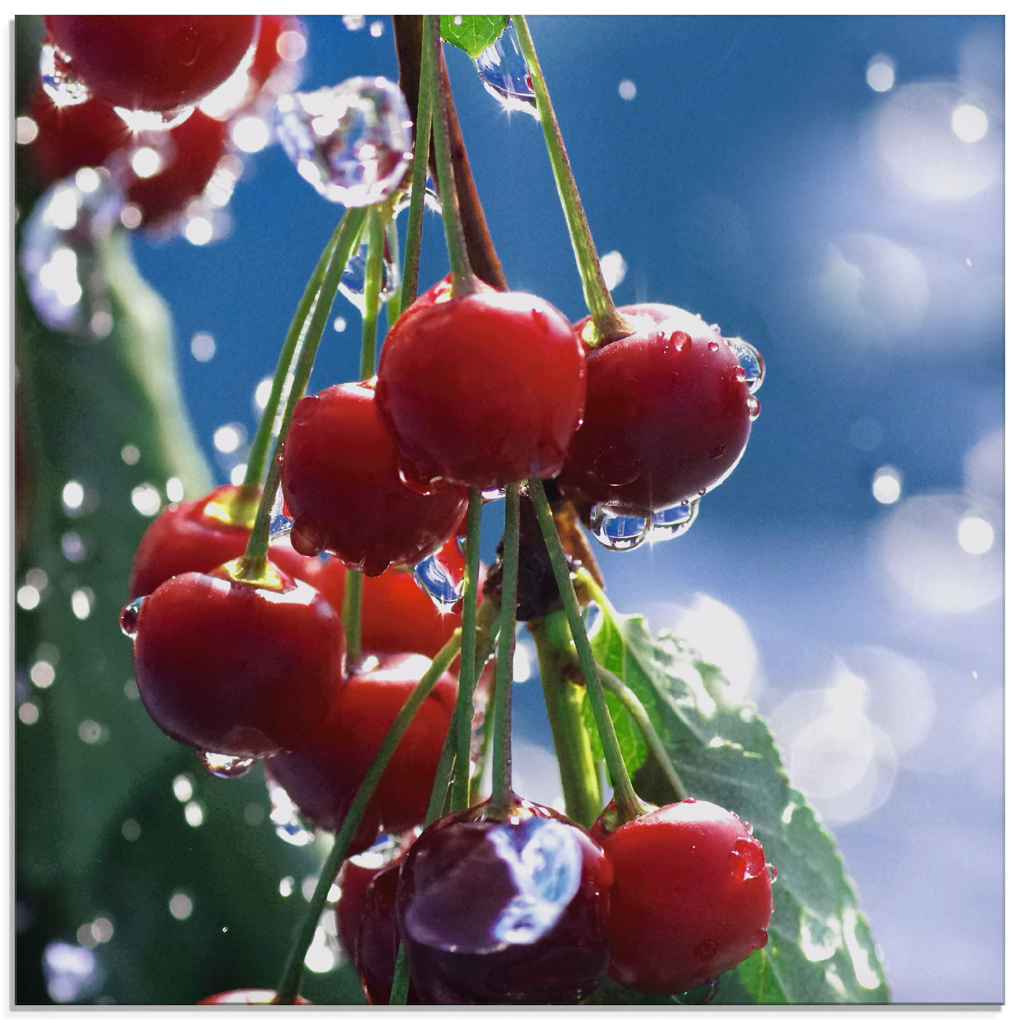 Artland Glasbild "Rote Kirschen im Sommerregen", Lebensmittel, (1 St.), in günstig online kaufen