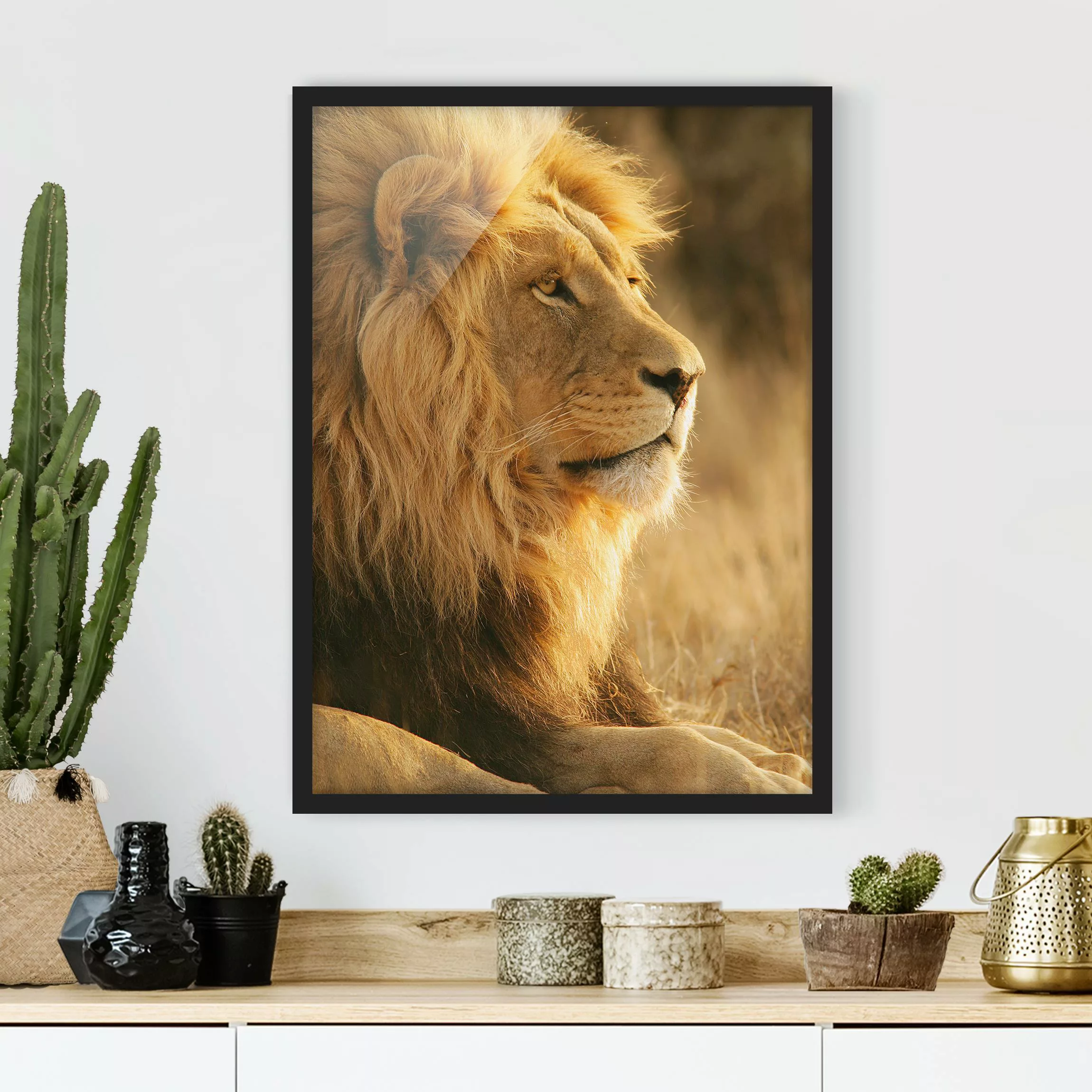 Bild mit Rahmen Tiere - Hochformat Löwenkönig günstig online kaufen