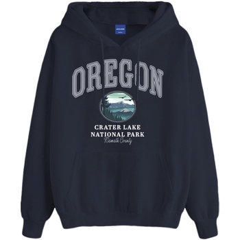 Jack & Jones  Sweatshirt Kapuzenpullover BRADLEY USSTATE Hoodie günstig online kaufen