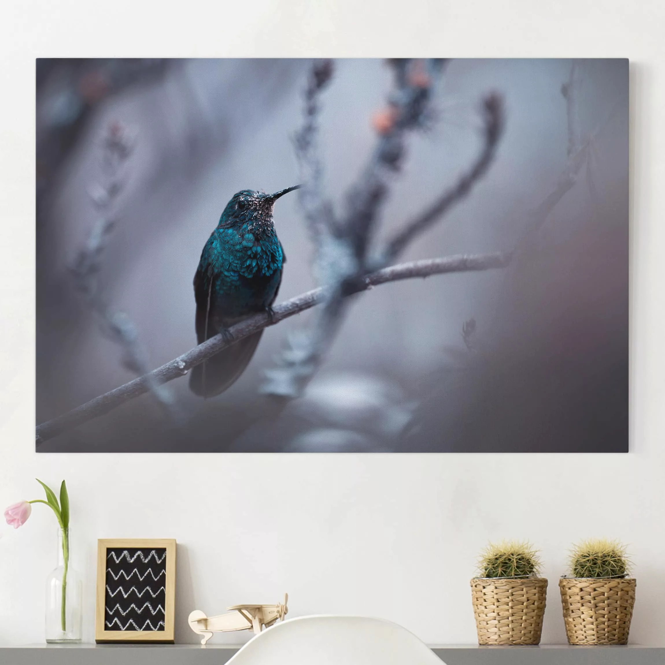 Leinwandbild Tiere - Querformat Kolibri im Winter günstig online kaufen