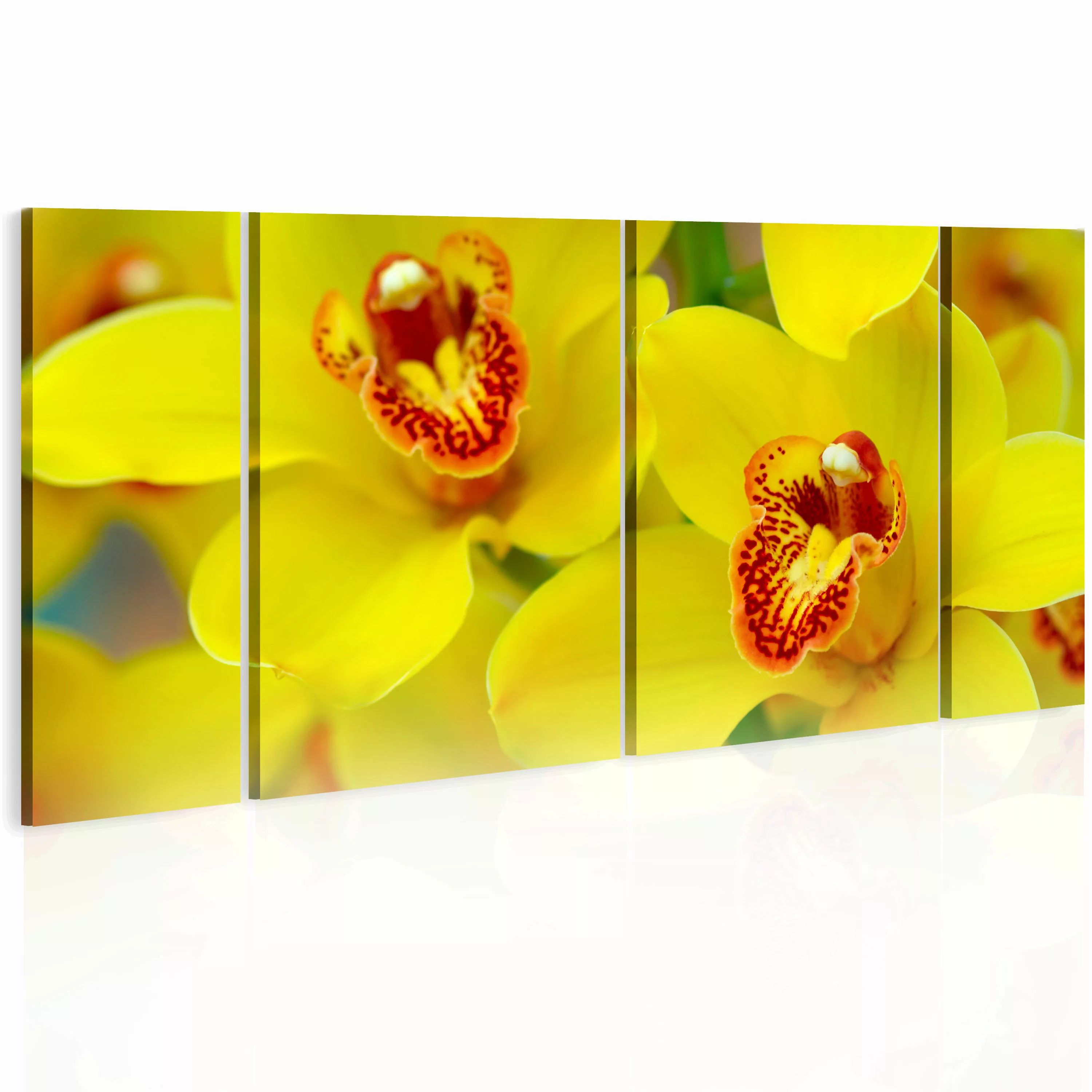 Wandbild - Orchids - Intensity Of Yellow Color günstig online kaufen