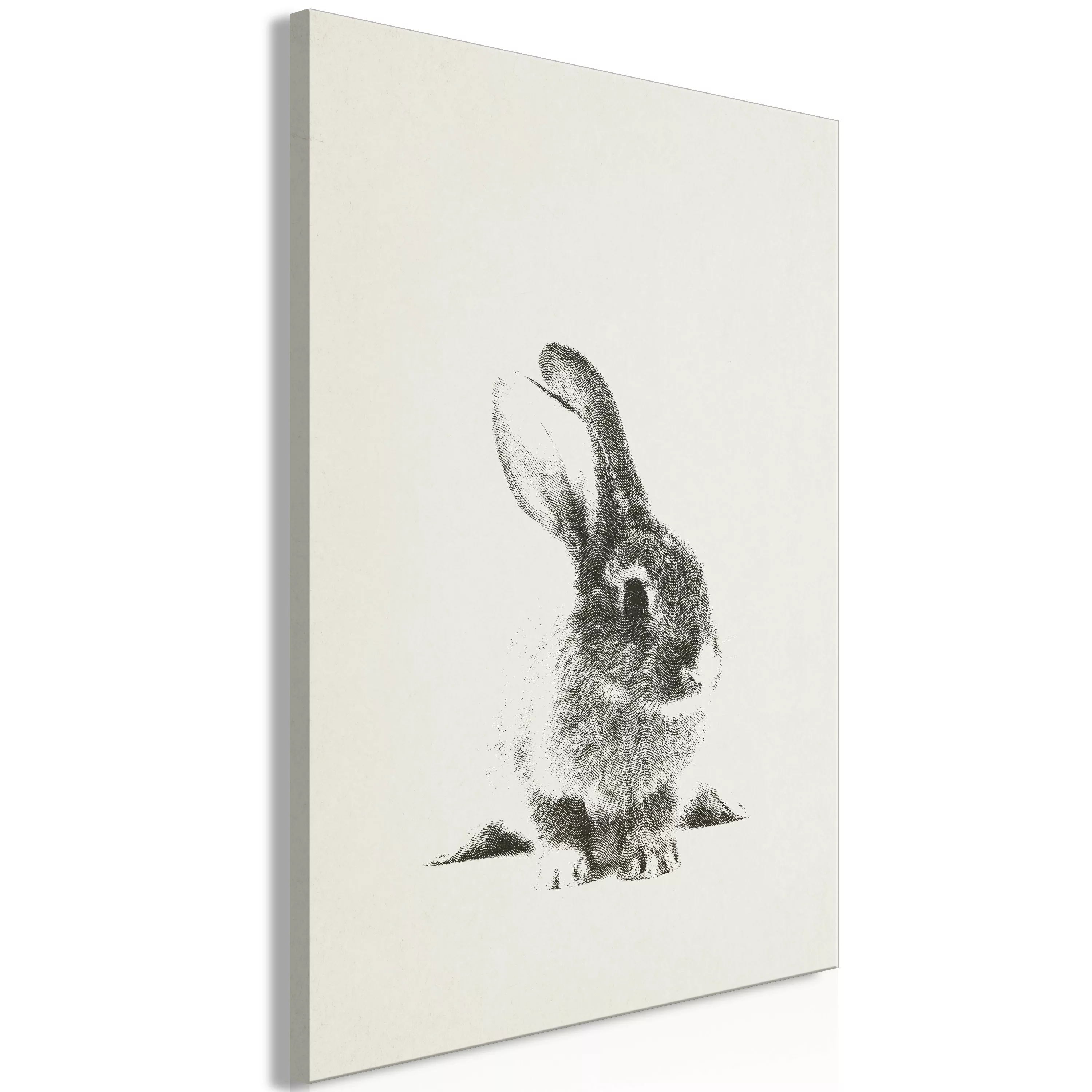 Wandbild - Fluffy Bunny (1 Part) Vertical günstig online kaufen