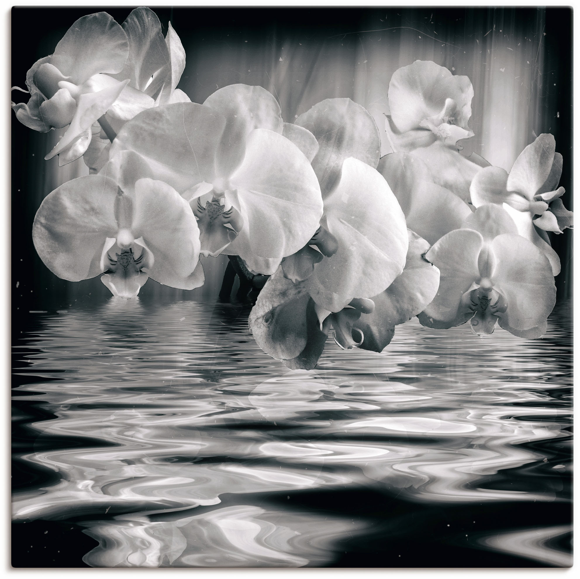Artland Wandbild "Orchideen - monochrom", Spa Bilder, (1 St.), als Leinwand günstig online kaufen