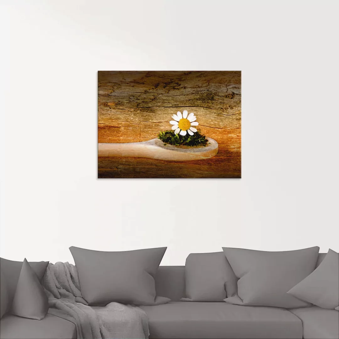 Artland Glasbild "Kamille", Blumen, (1 St.), in verschiedenen Größen günstig online kaufen