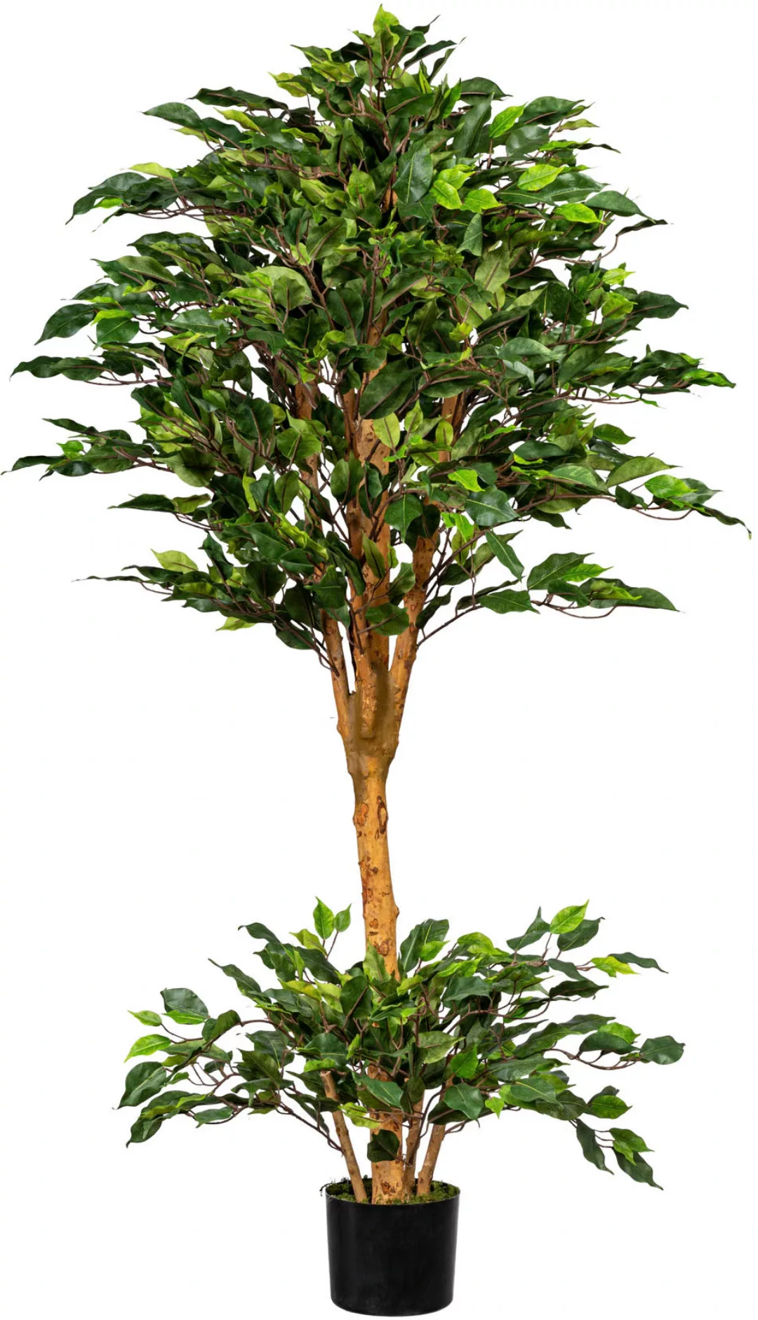 Creativ green Kunstbaum "Ficus Benjamini" günstig online kaufen