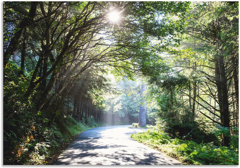 Artland Wandbild "Sonniger Wald", Baumbilder, (1 St.), als Alubild, Outdoor günstig online kaufen