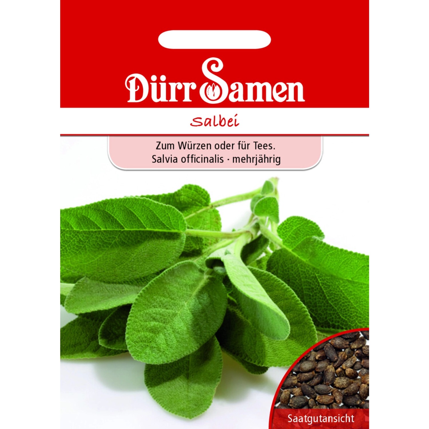 Dürr Samen Salbei Saatgut günstig online kaufen