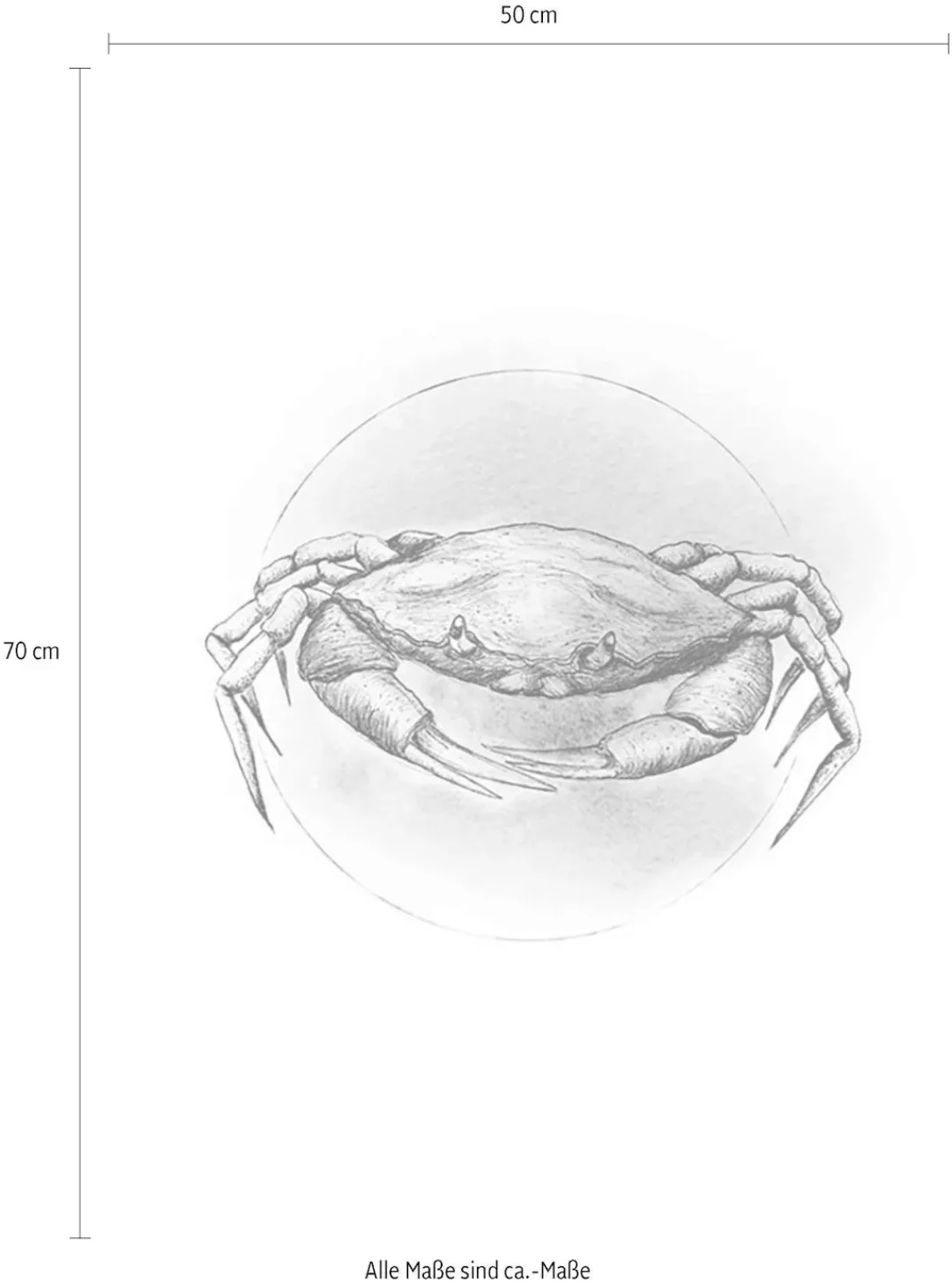 Komar Poster "Crab Watercolor", Tiere, (1 St.) günstig online kaufen