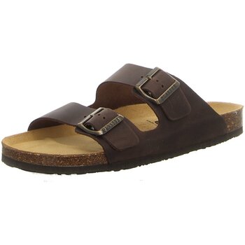 Plakton  Pantoffeln Offene 175857 MARRON günstig online kaufen