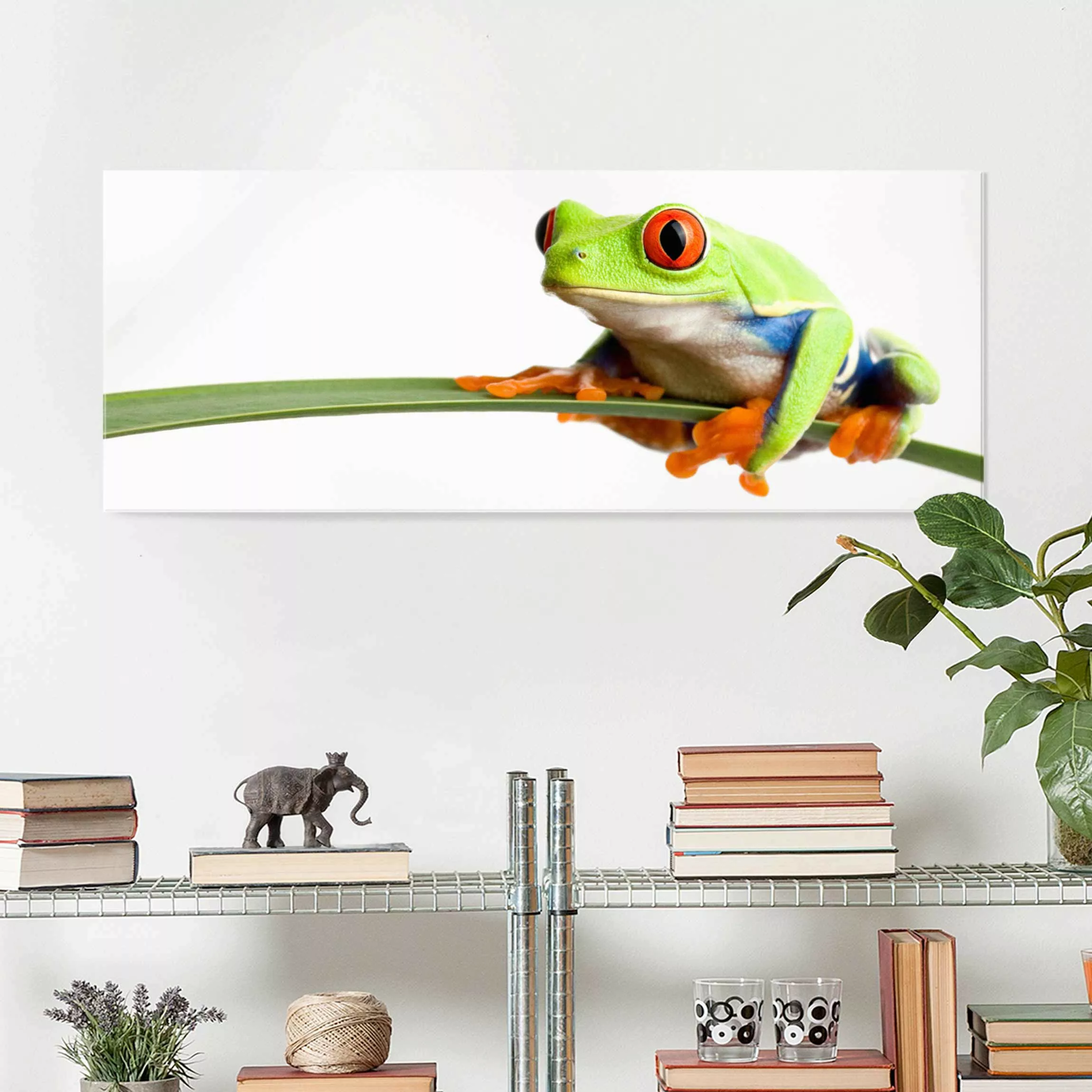 Glasbild Tiere - Panorama Weatherman günstig online kaufen