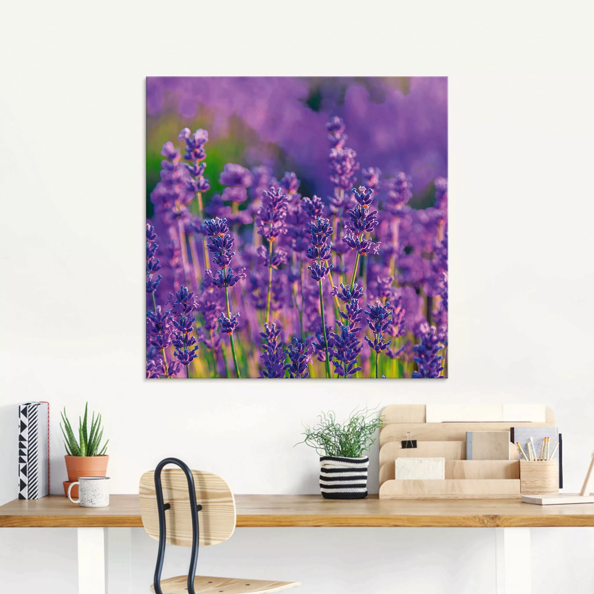 Artland Glasbild "Lavendelfeld in Tihany, Ungarn", Felder, (1 St.), in vers günstig online kaufen