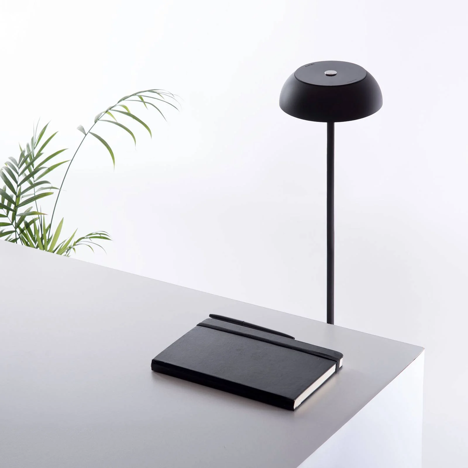 Axolight Float LED-Designer-Stehleuchte, schwarz günstig online kaufen
