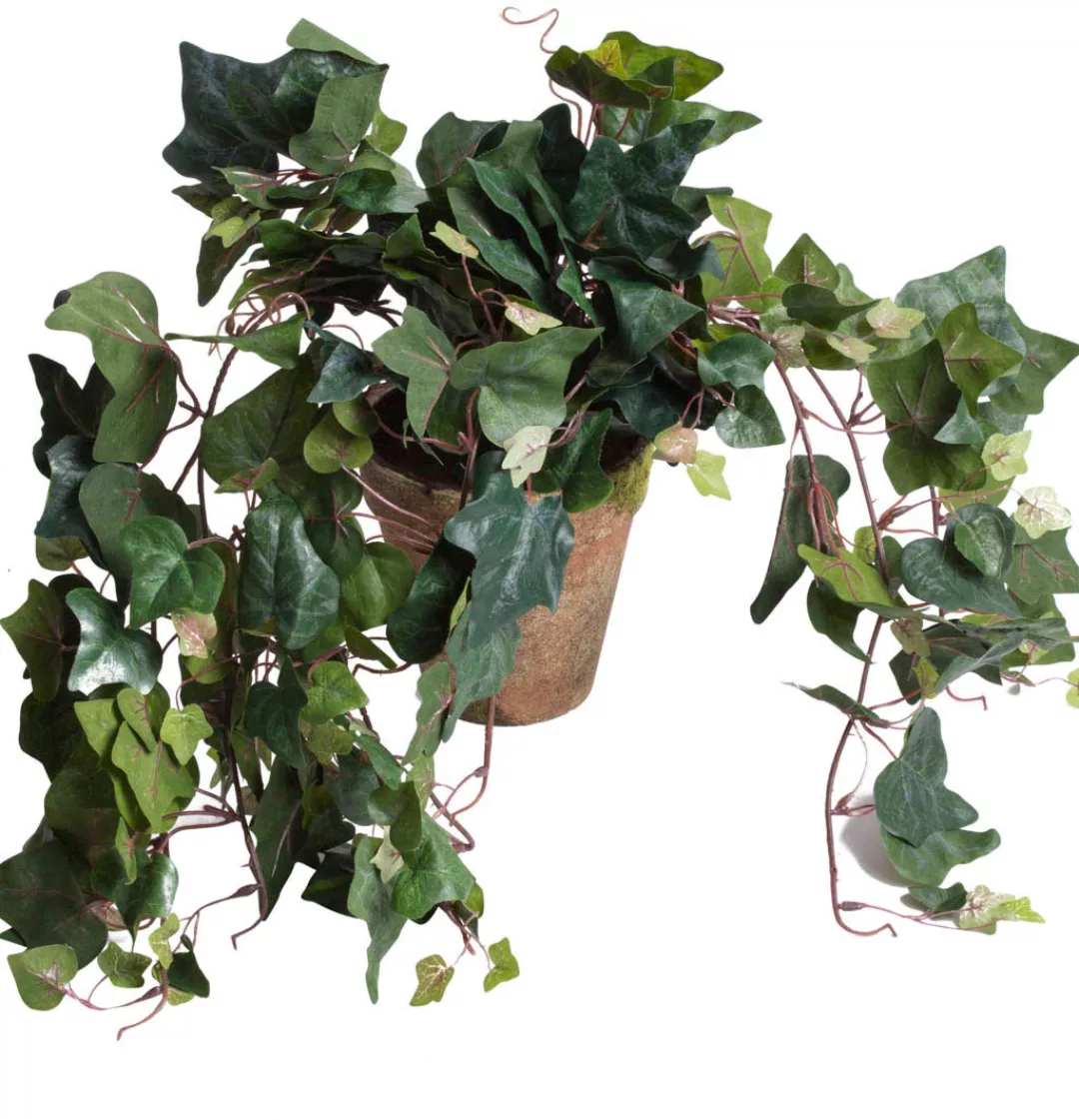 Botanic-Haus Künstliche Zimmerpflanze »Efeuhängebusch« günstig online kaufen