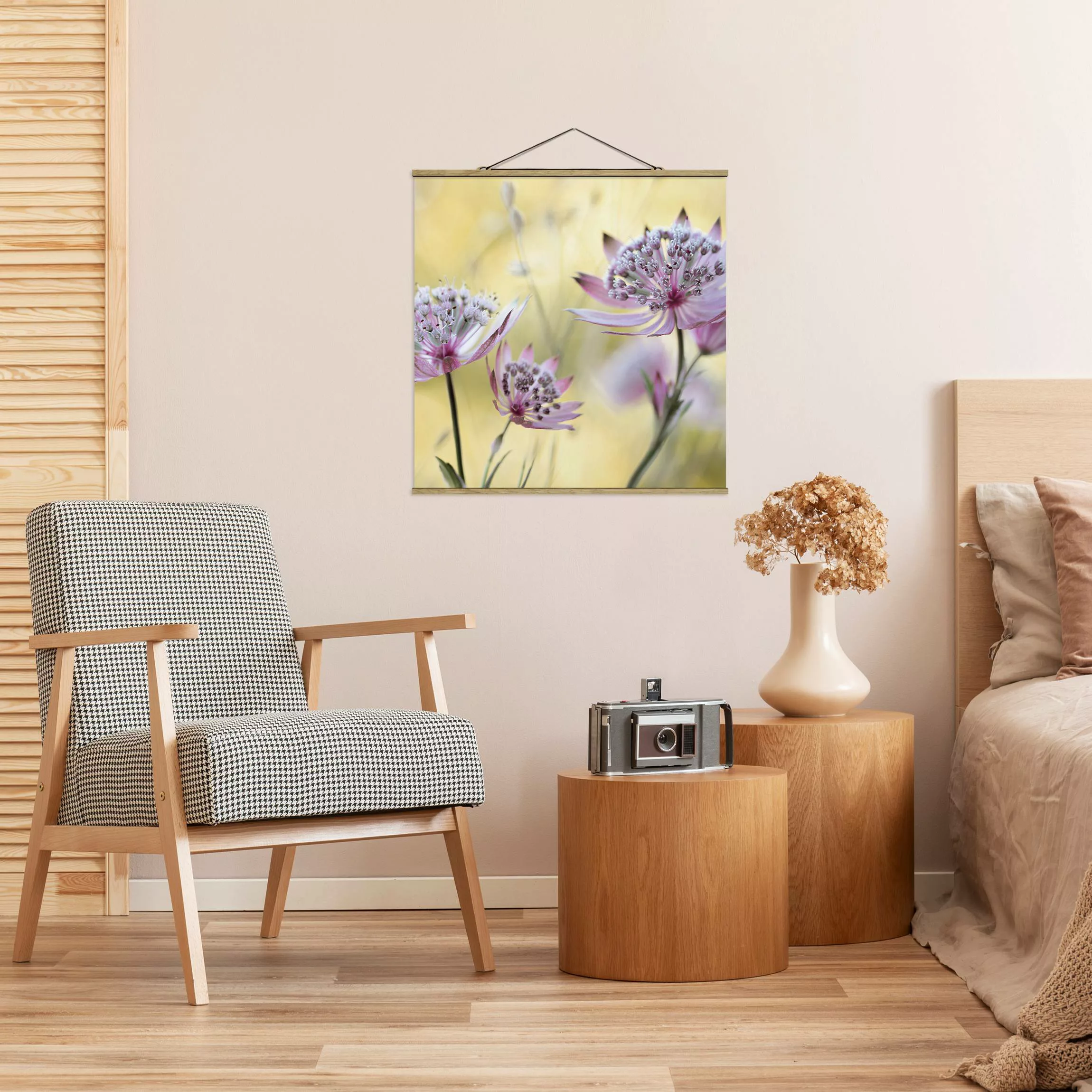 Stoffbild Blumen mit Posterleisten - Quadrat Astrantia Major günstig online kaufen