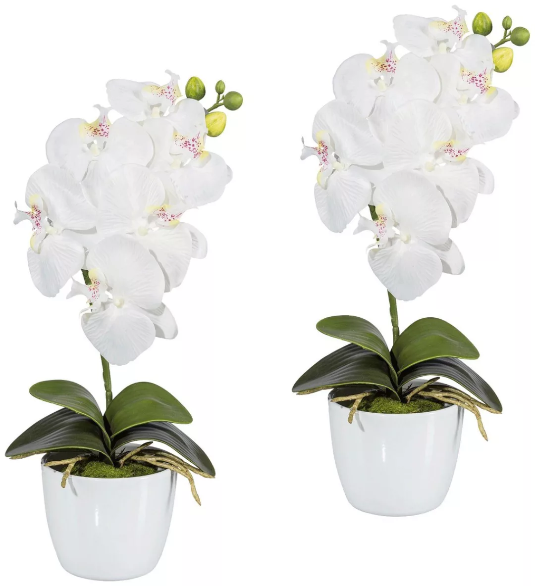 Creativ green Kunstpflanze "Orchidee Phalaenopsis", im Keramiktopf günstig online kaufen