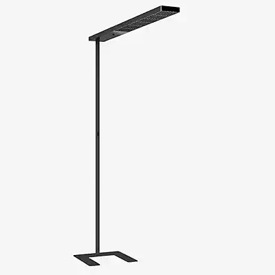 Grau Xt-a Plus Stehleuchte LED, schwarz/schwarz - 125 cm günstig online kaufen