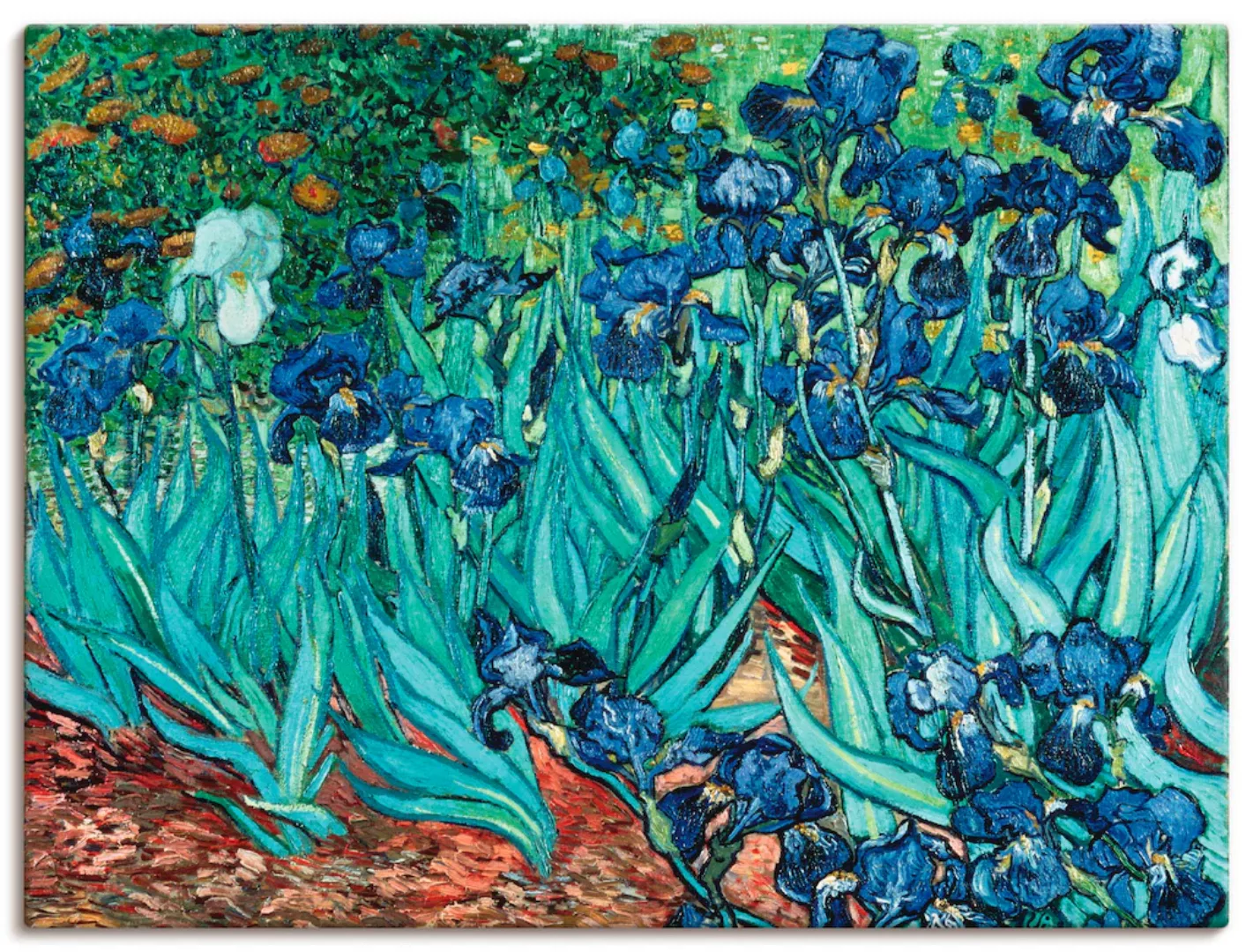 Artland Leinwandbild "Iris (Schwertlilien). 1889", Blumen, (1 St.) günstig online kaufen