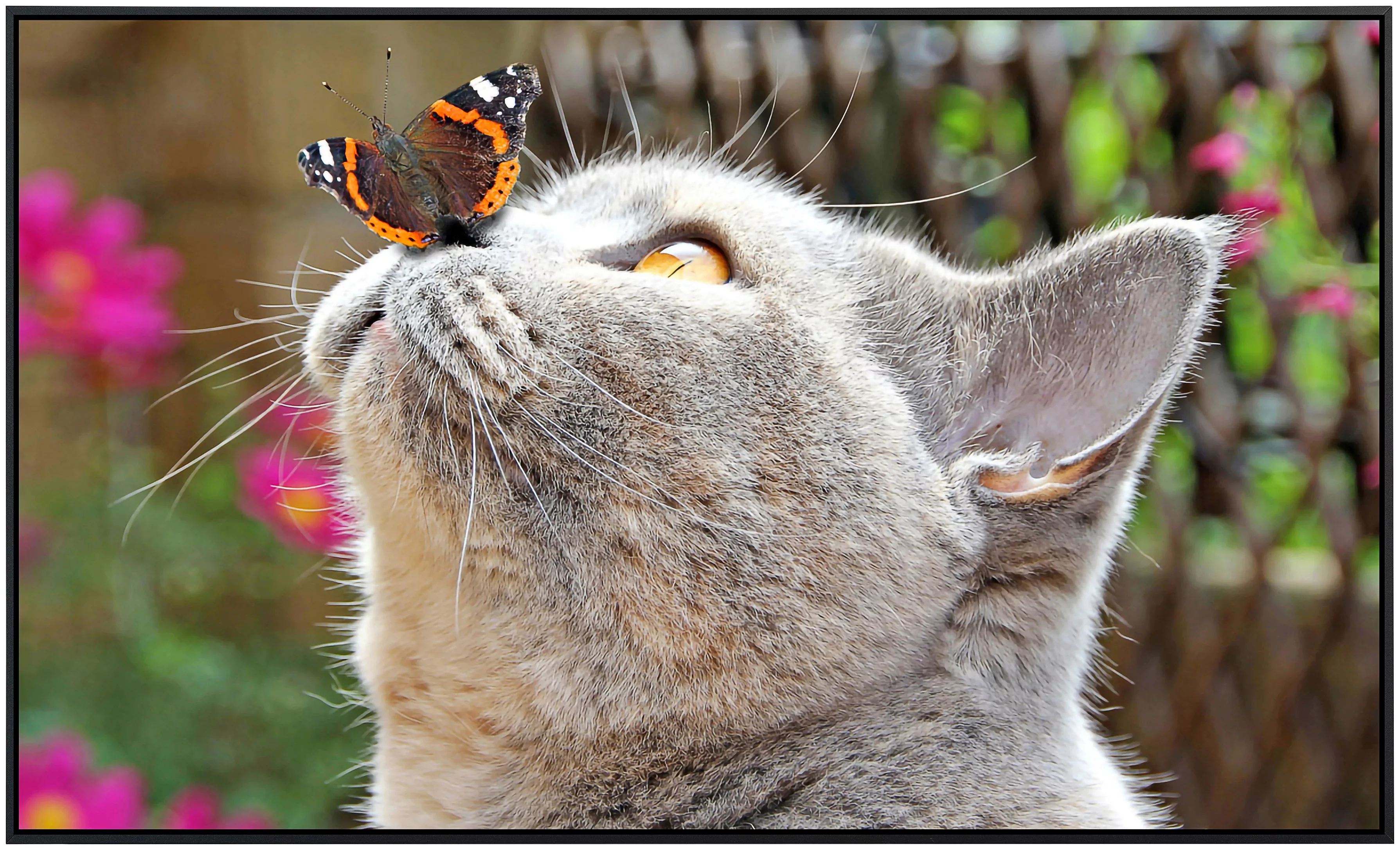 Papermoon Infrarotheizung »Schmetterling und Katze«, sehr angenehme Strahlu günstig online kaufen